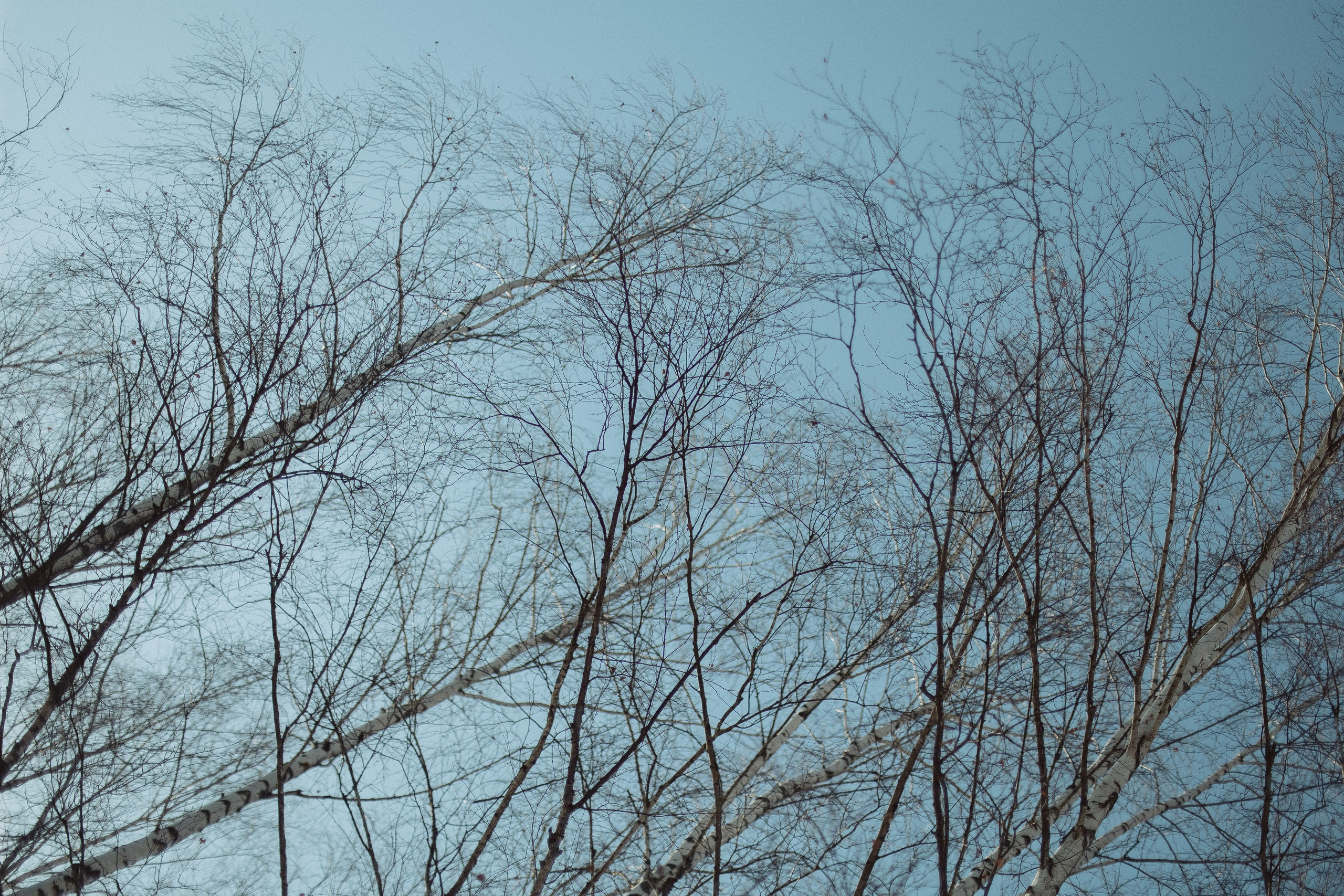 Экопарк ПОЛЯНЫ. Главная