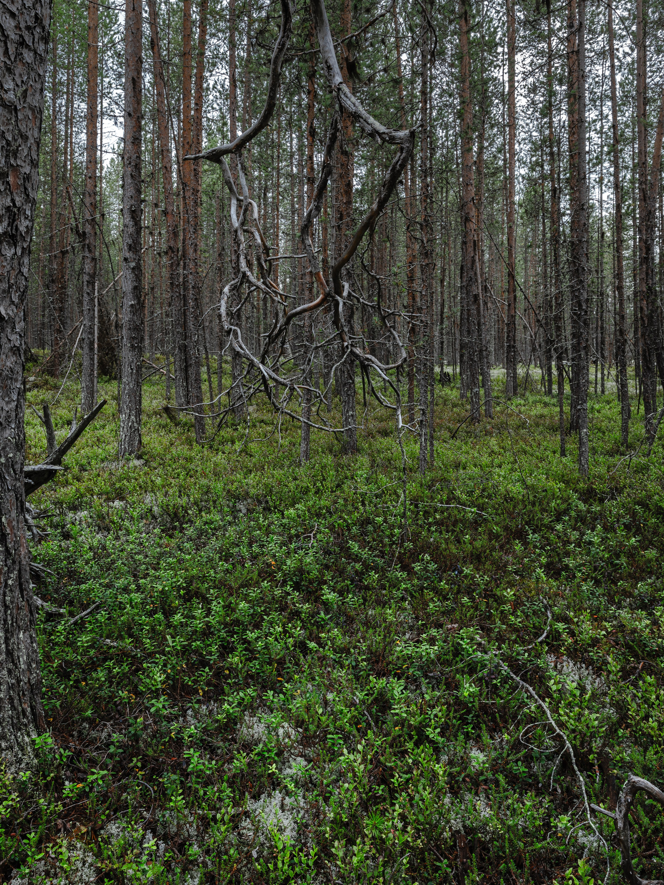 Оз. Колвицкое. Фотографии