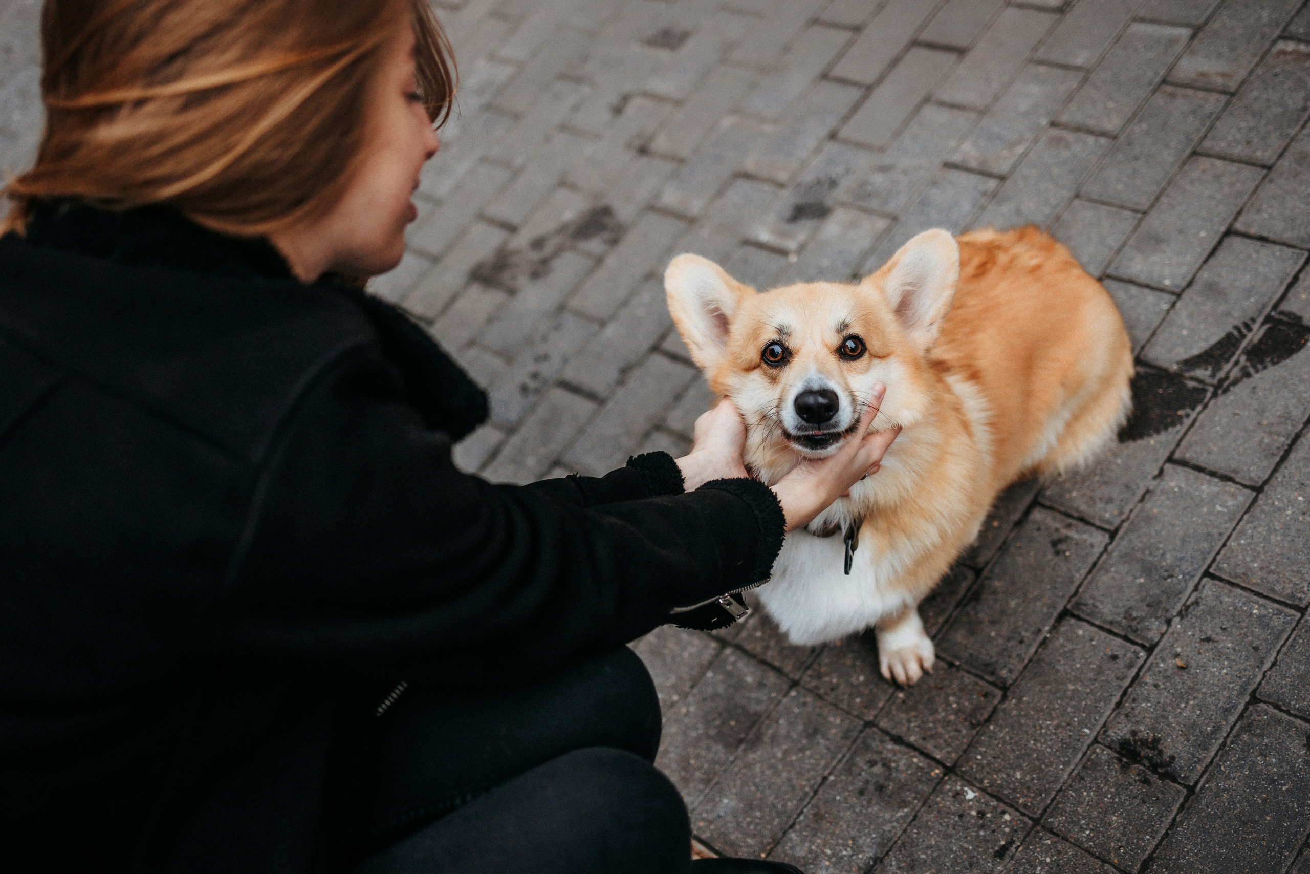 Вера, Саша и Муна. Фотограф-анималист Елена Радченко, Москва
