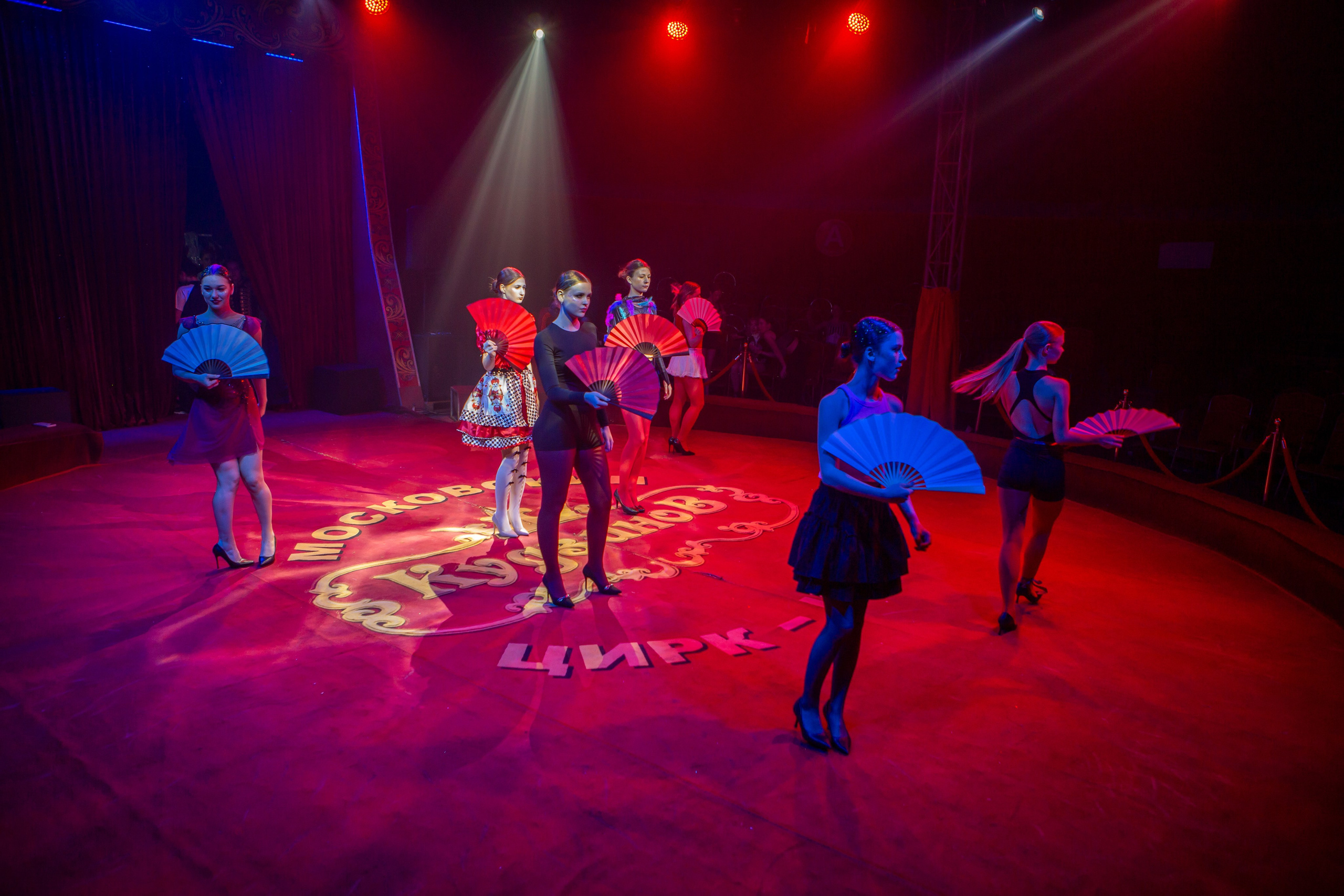 MANEGE SHOW. Репортажный, семейный, свадебный, портретный фотограф