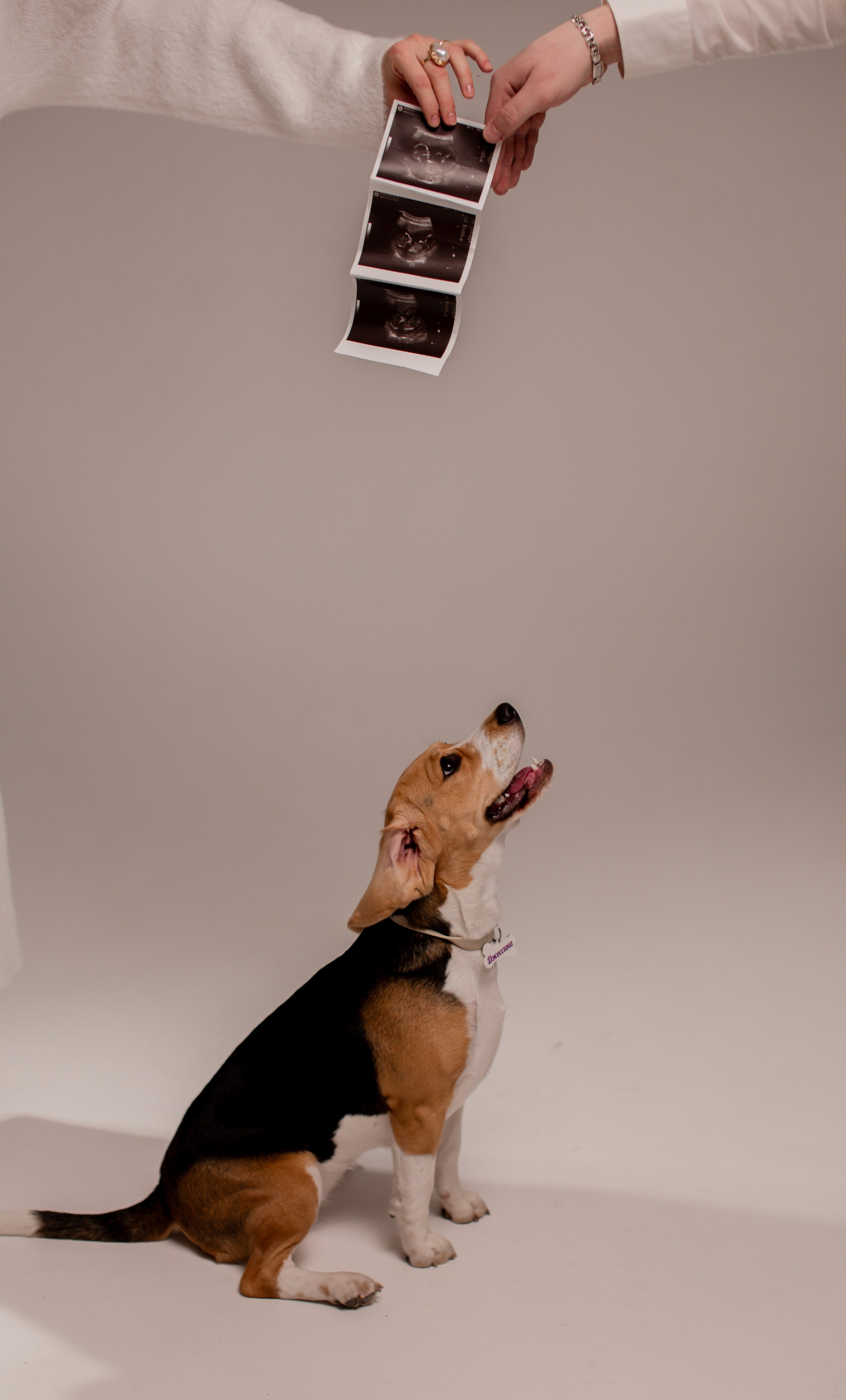 Соня. ФОТОГРАФ ~ Виктория Ивченко ~ Старый Оскол