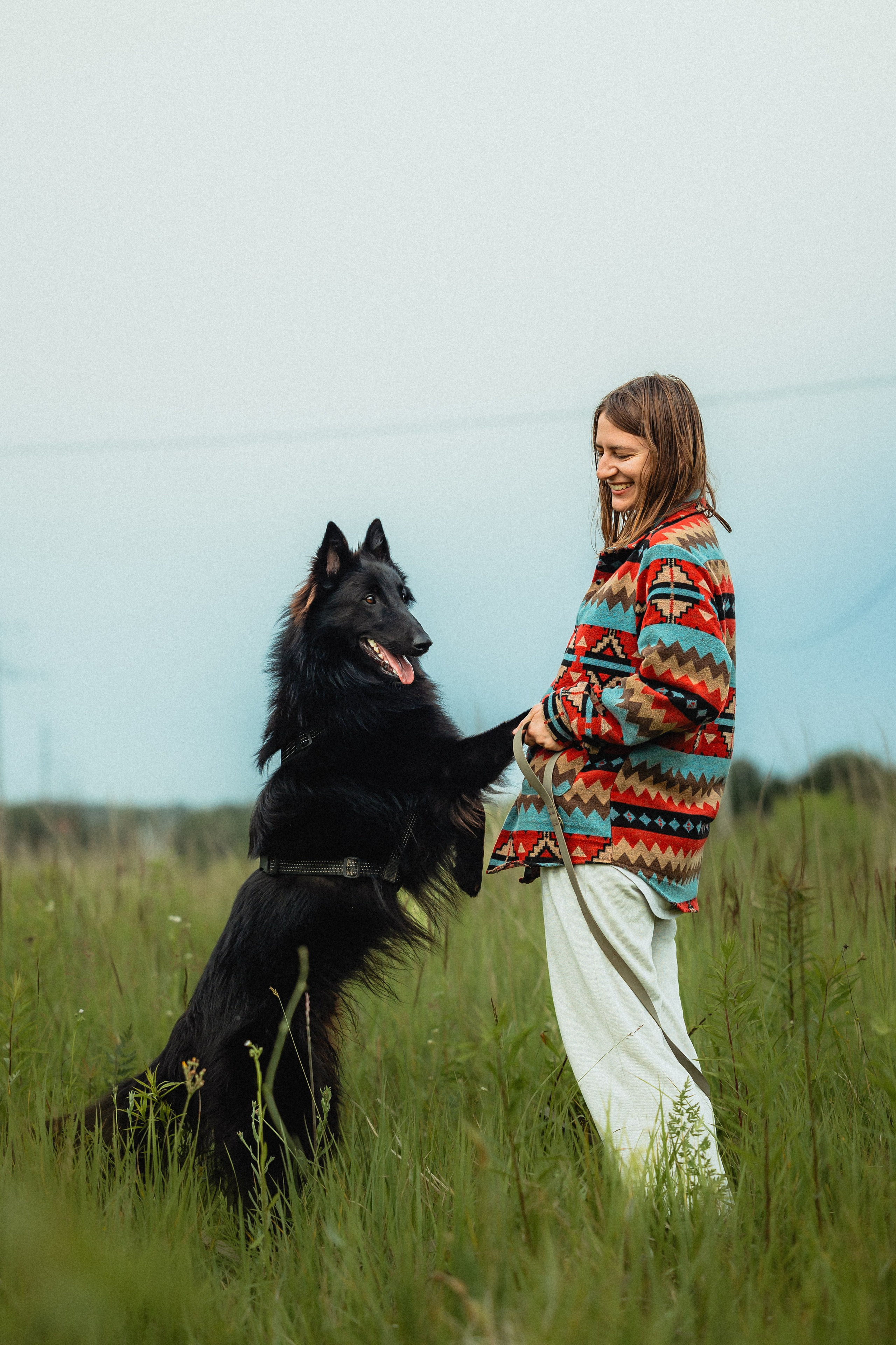 Выездной дог-тренинг от школы «Шерсть имею»