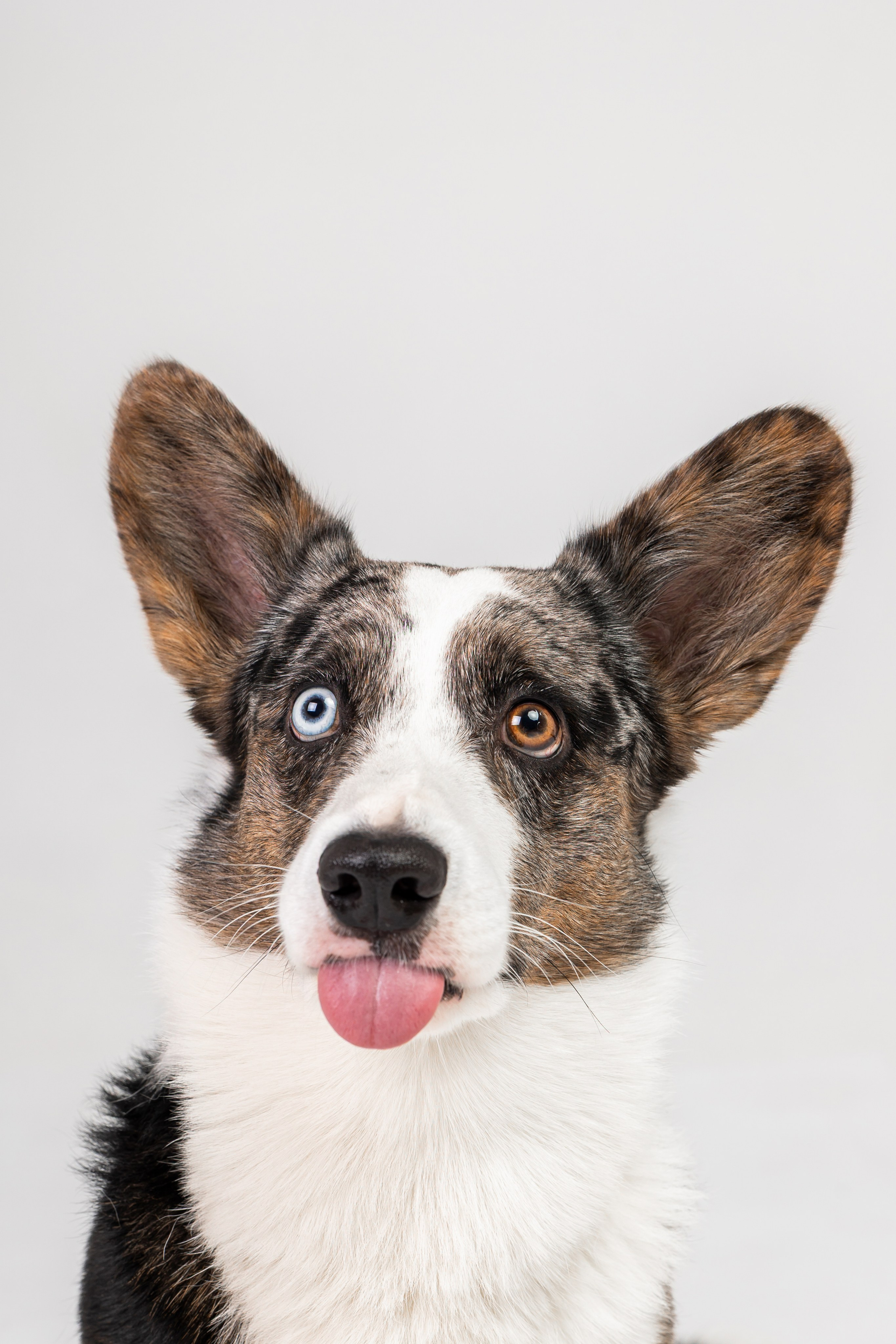 Анатолий и Рагнар