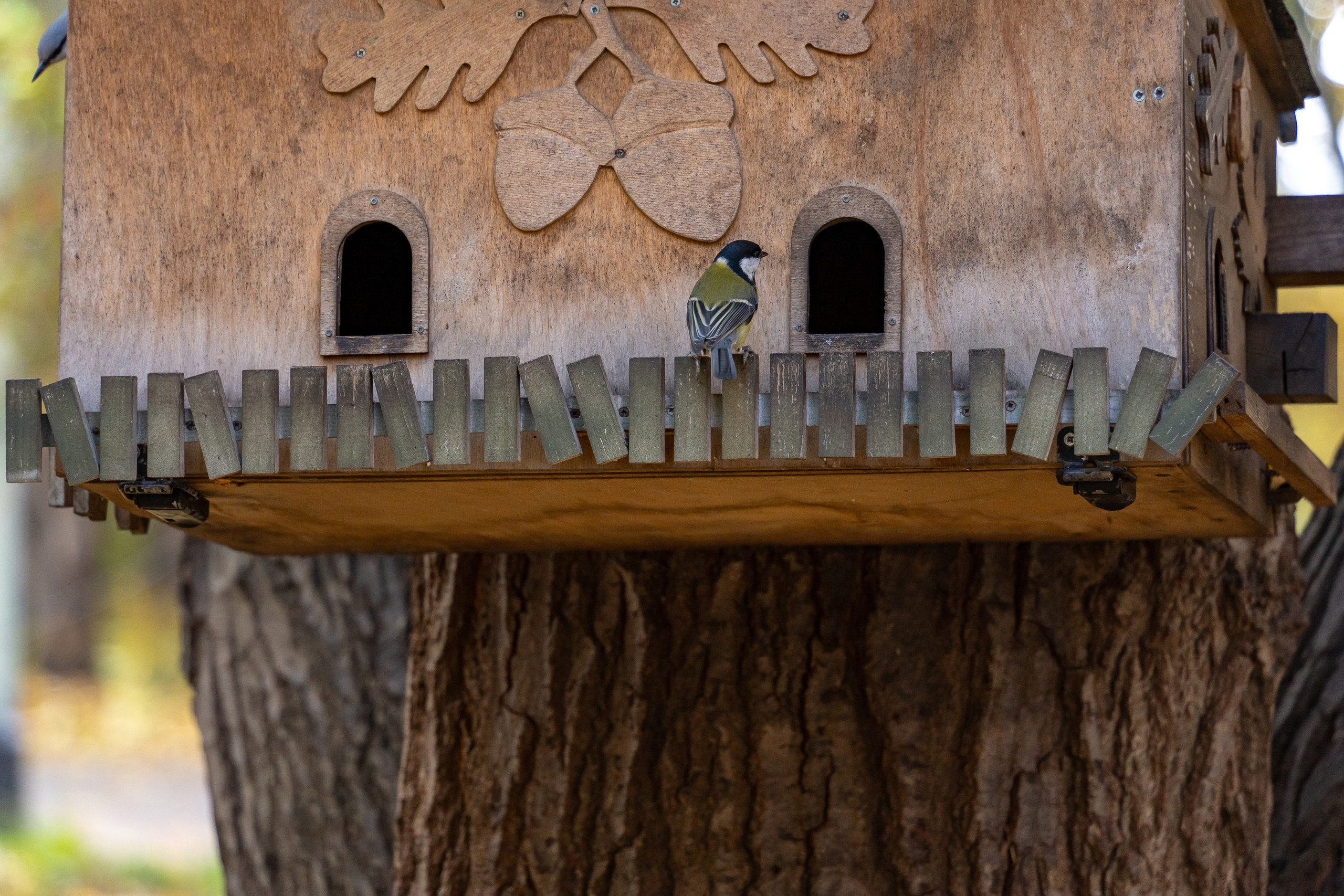 20251012 МГУ. Дмитрий Ремизов. Фотография, как хобби