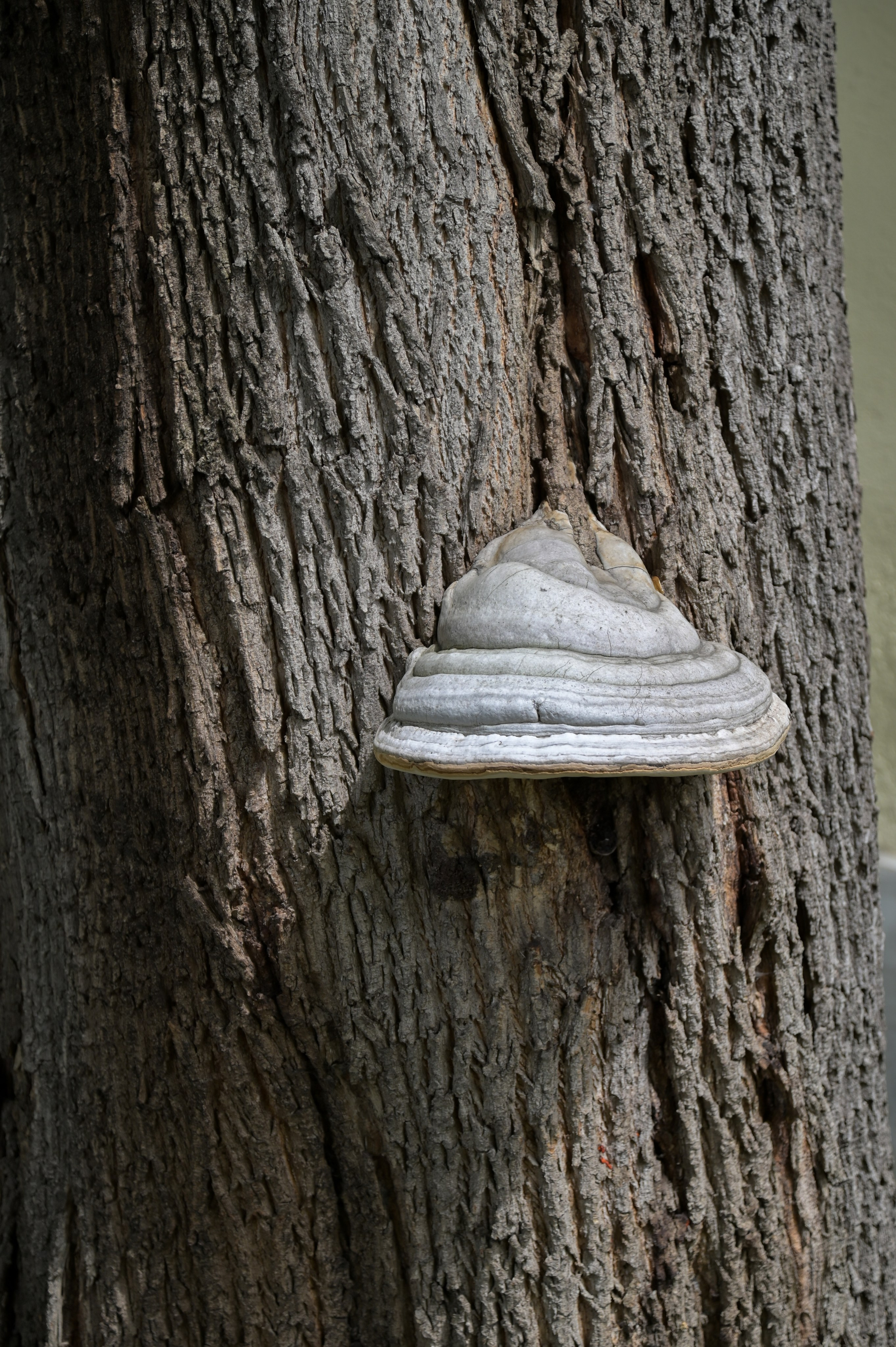 20240616 Крутицкое подворье. Дмитрий Ремизов. Фотография, как хобби