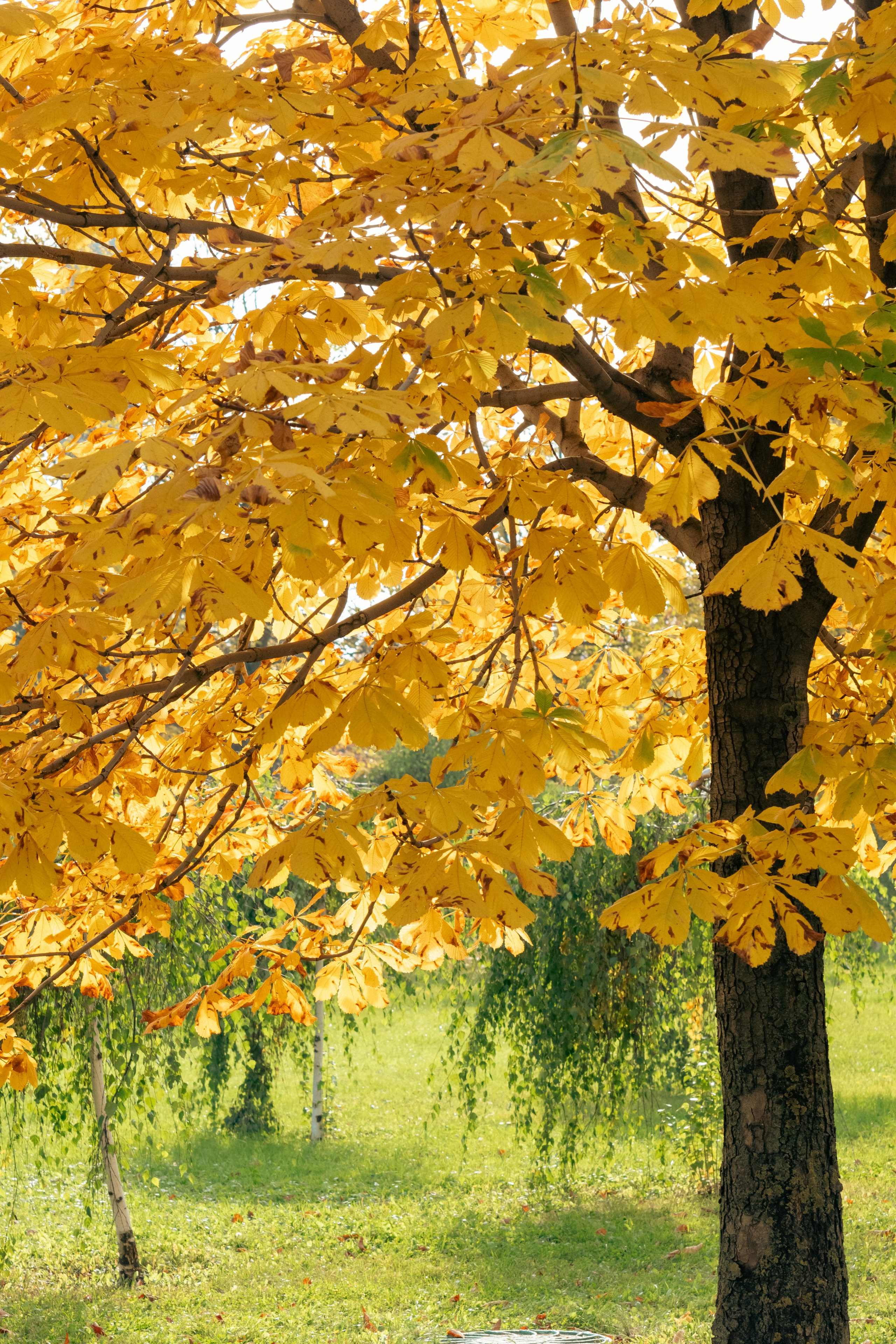 20211003 Поклонка. Дмитрий Ремизов. Фотография, как хобби
