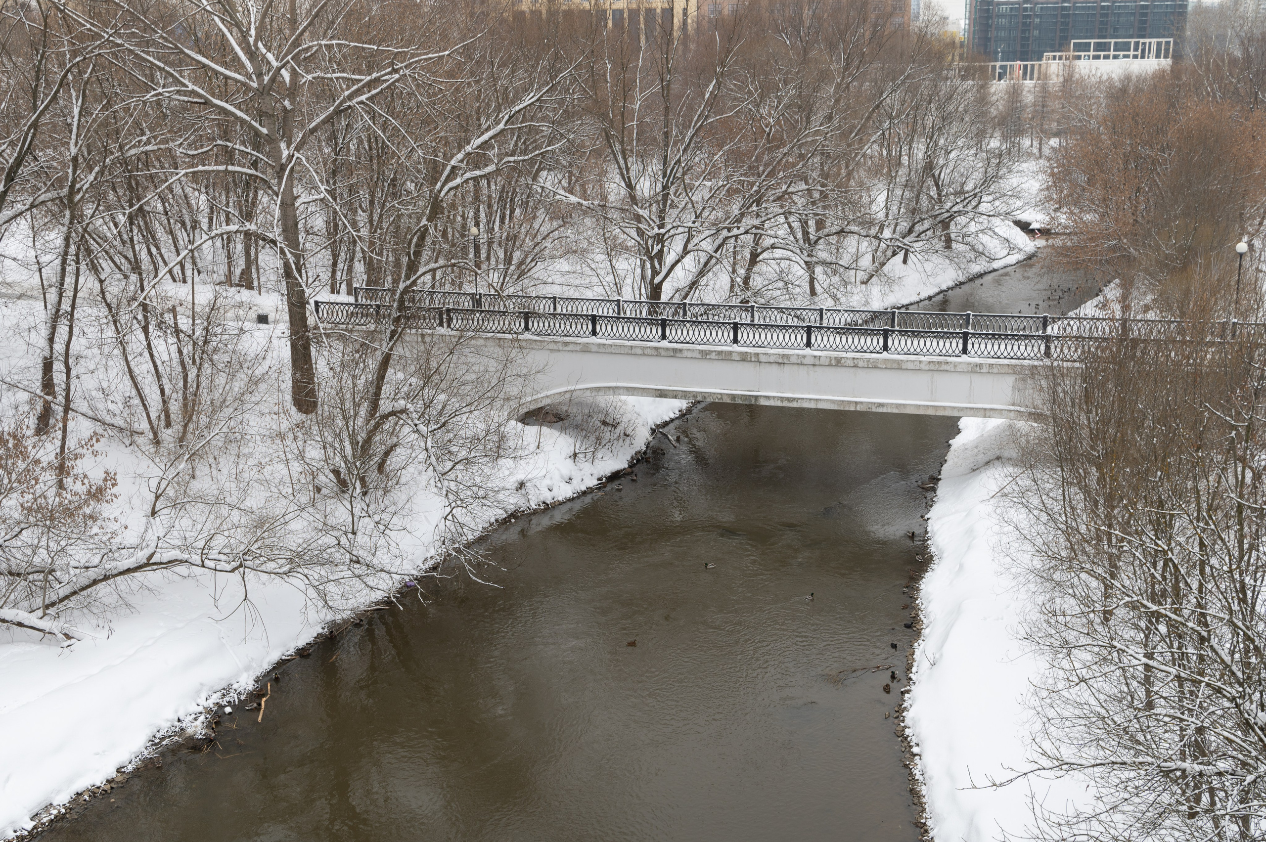 20240127 Ростокинский акведук. Дмитрий Ремизов. Фотография, как хобби