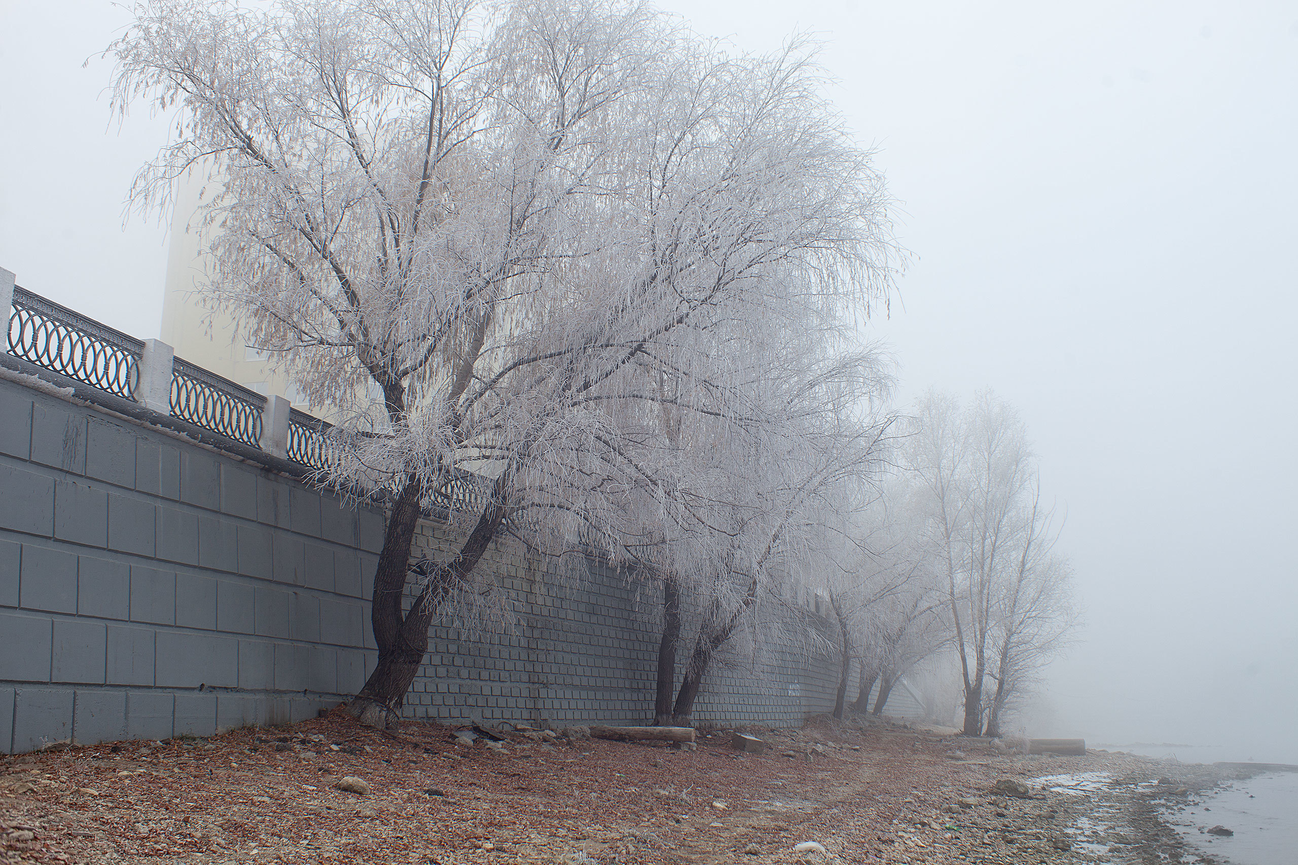 №63. Фотограф Усольцева Ольга