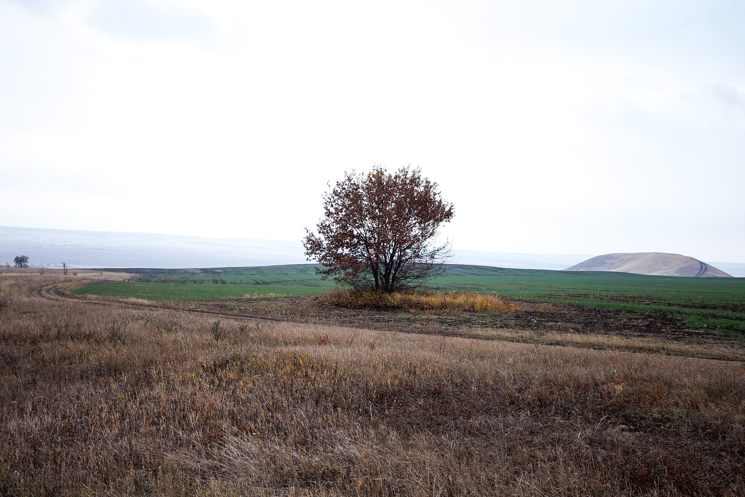 №63. Фотограф Усольцева Ольга