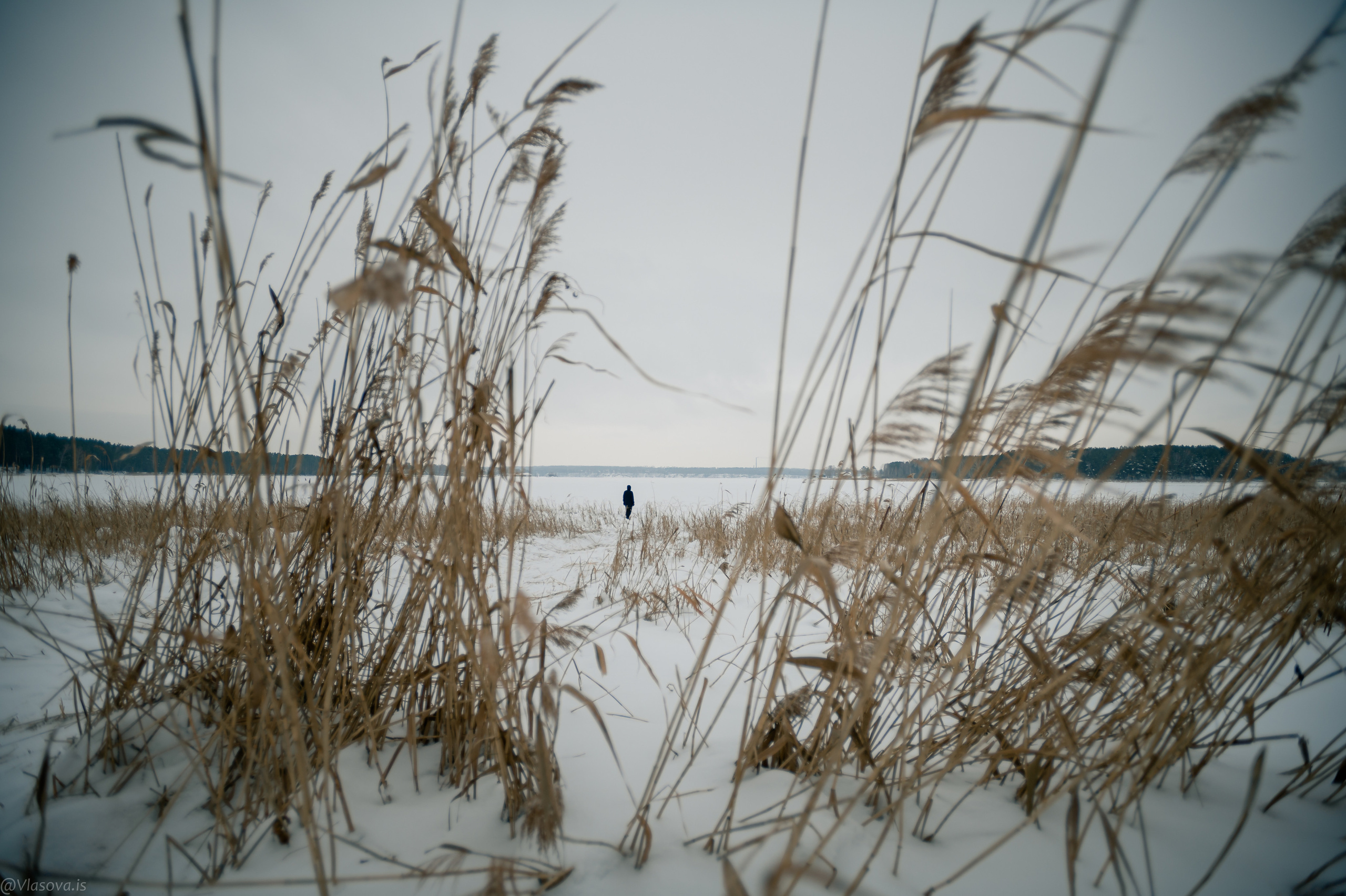 Дети гуляют. Спортивный и портретный фотограф
