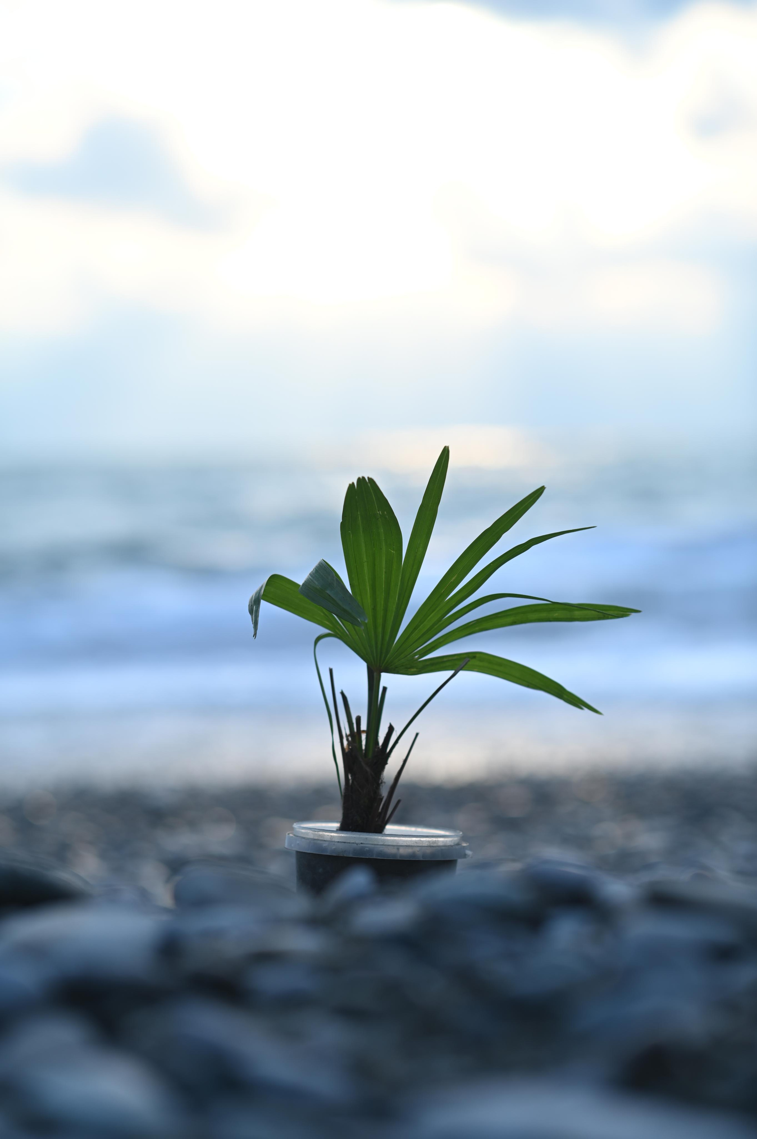 Ледисовершенство. Спортивный и портретный фотограф