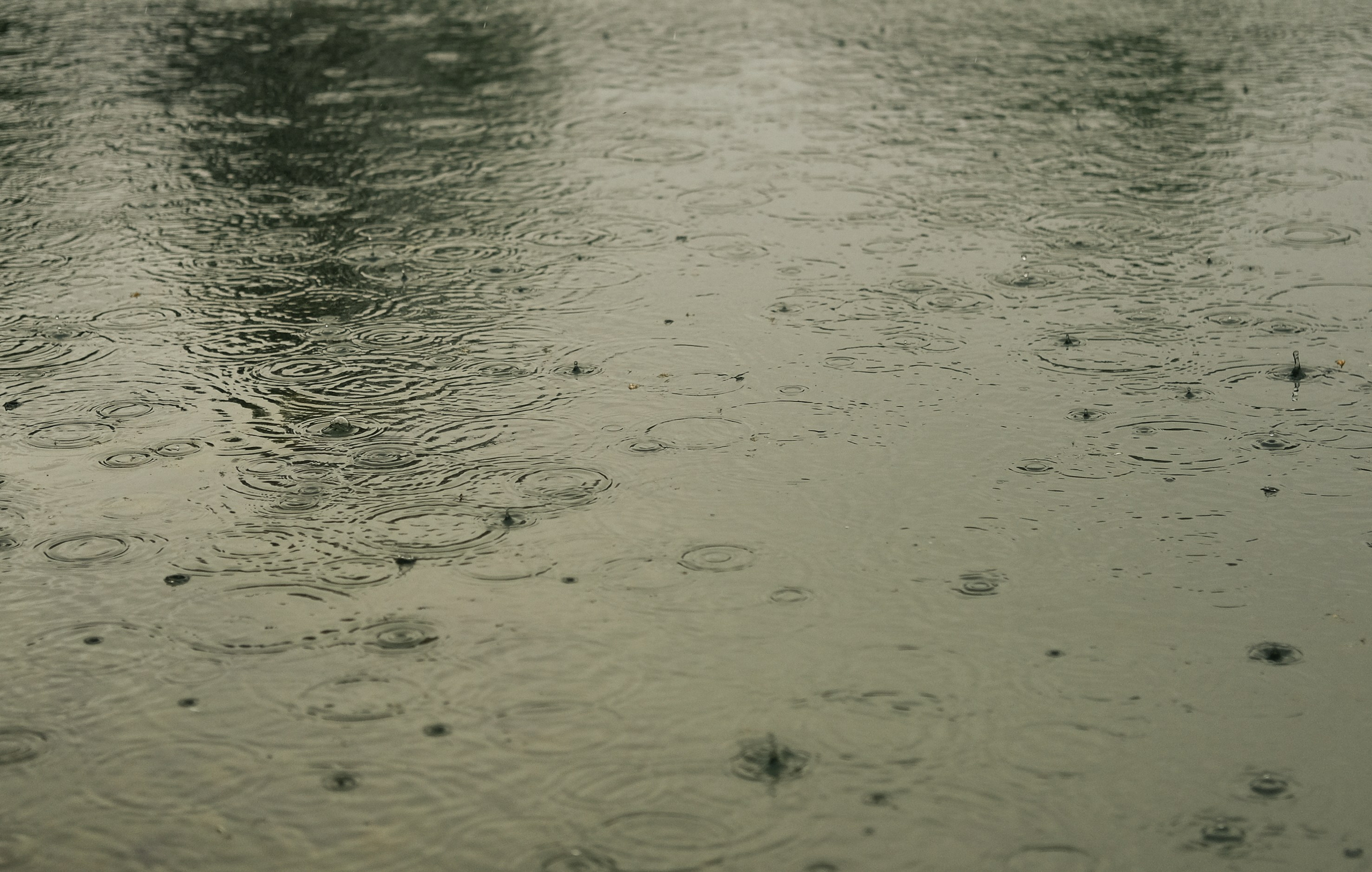 Мурашки под дождём. Обо мне