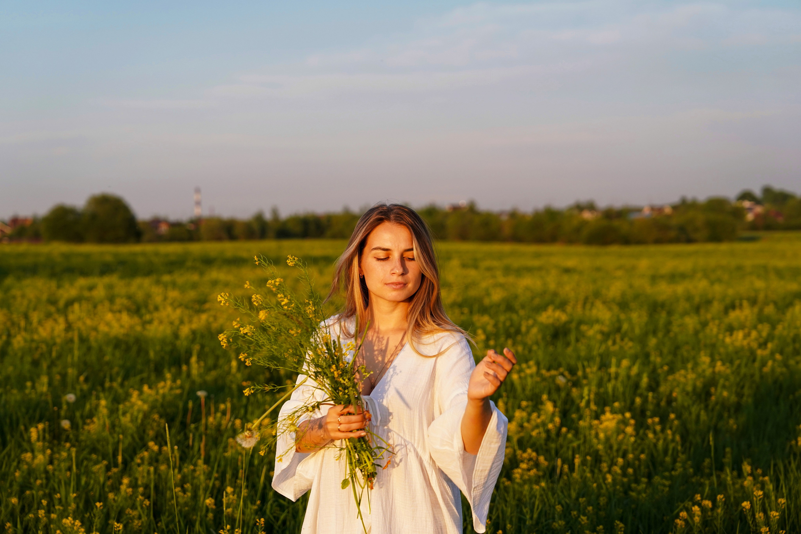 Рапсовое поле. Главная