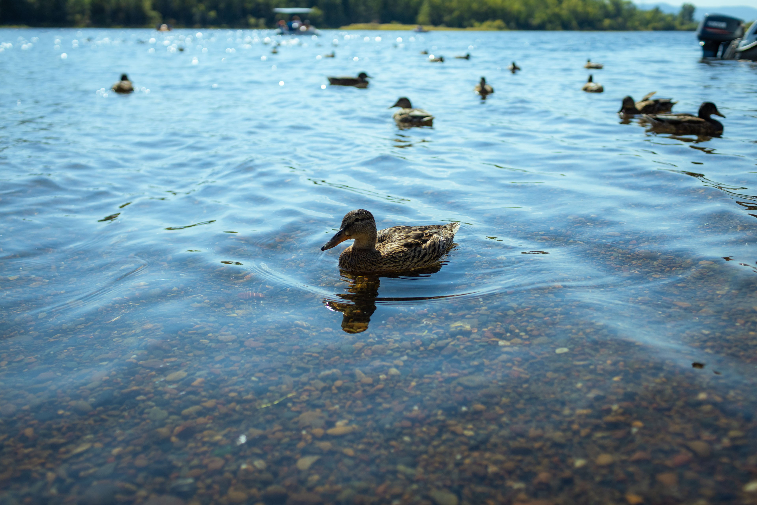 Красноярск (осень 2023). Фотограф Виноградов Константин