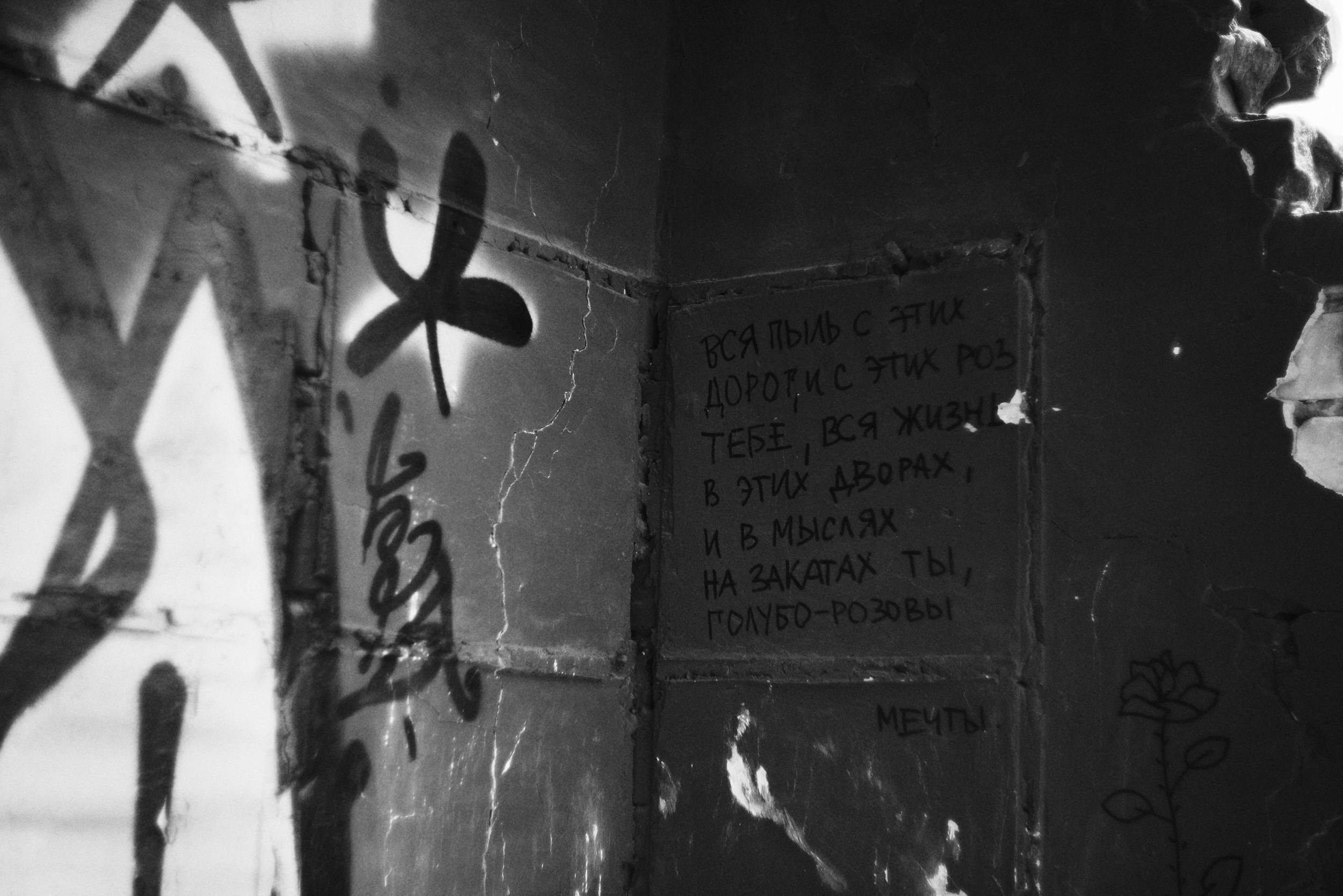 Уличная фотосессия тюмень. Фотограф Дарья Мустафина, Тюмень