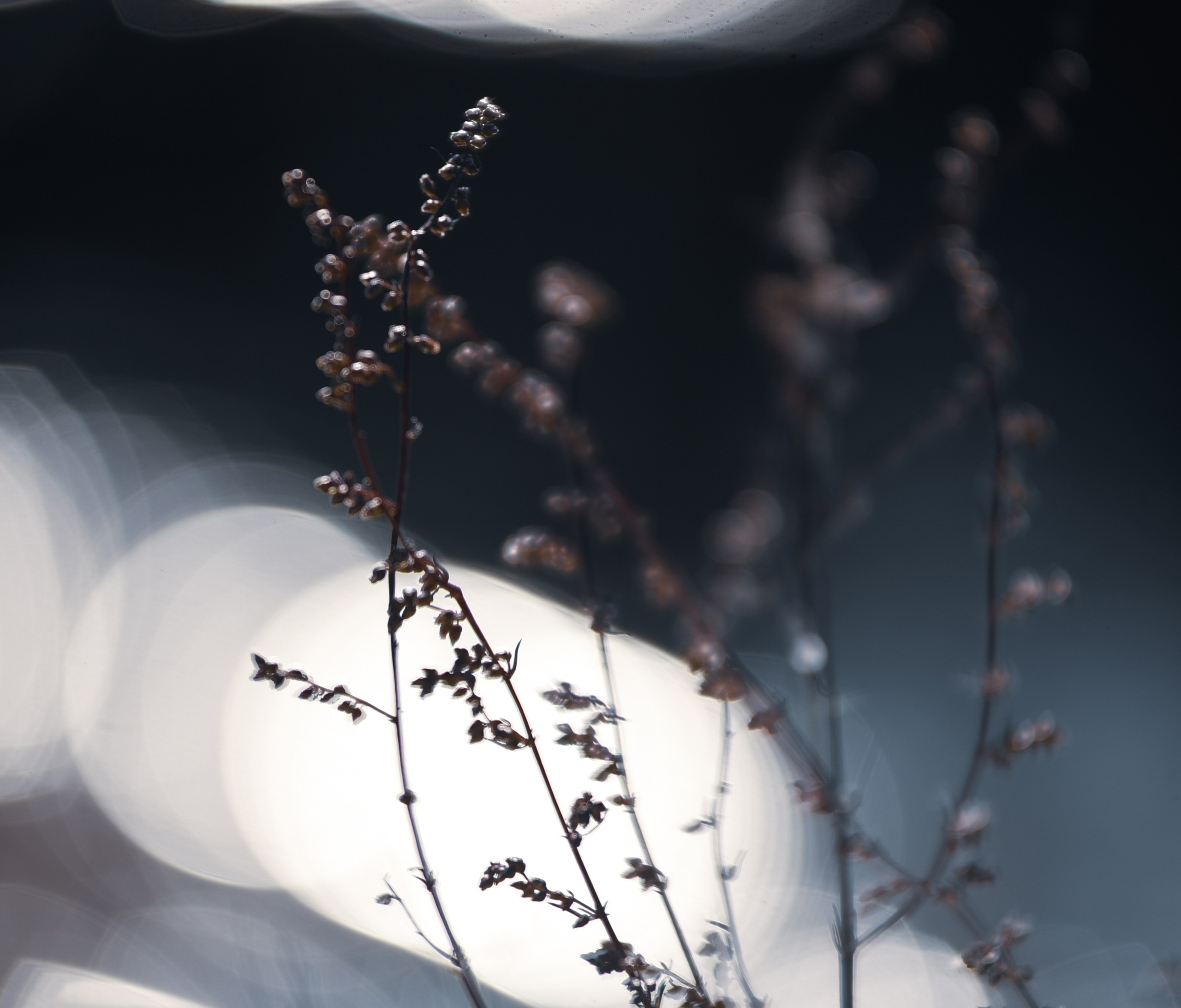 Nature. Anastasia Serdyuk, travel photographer, travel photo, portraits, stories, fineart prints