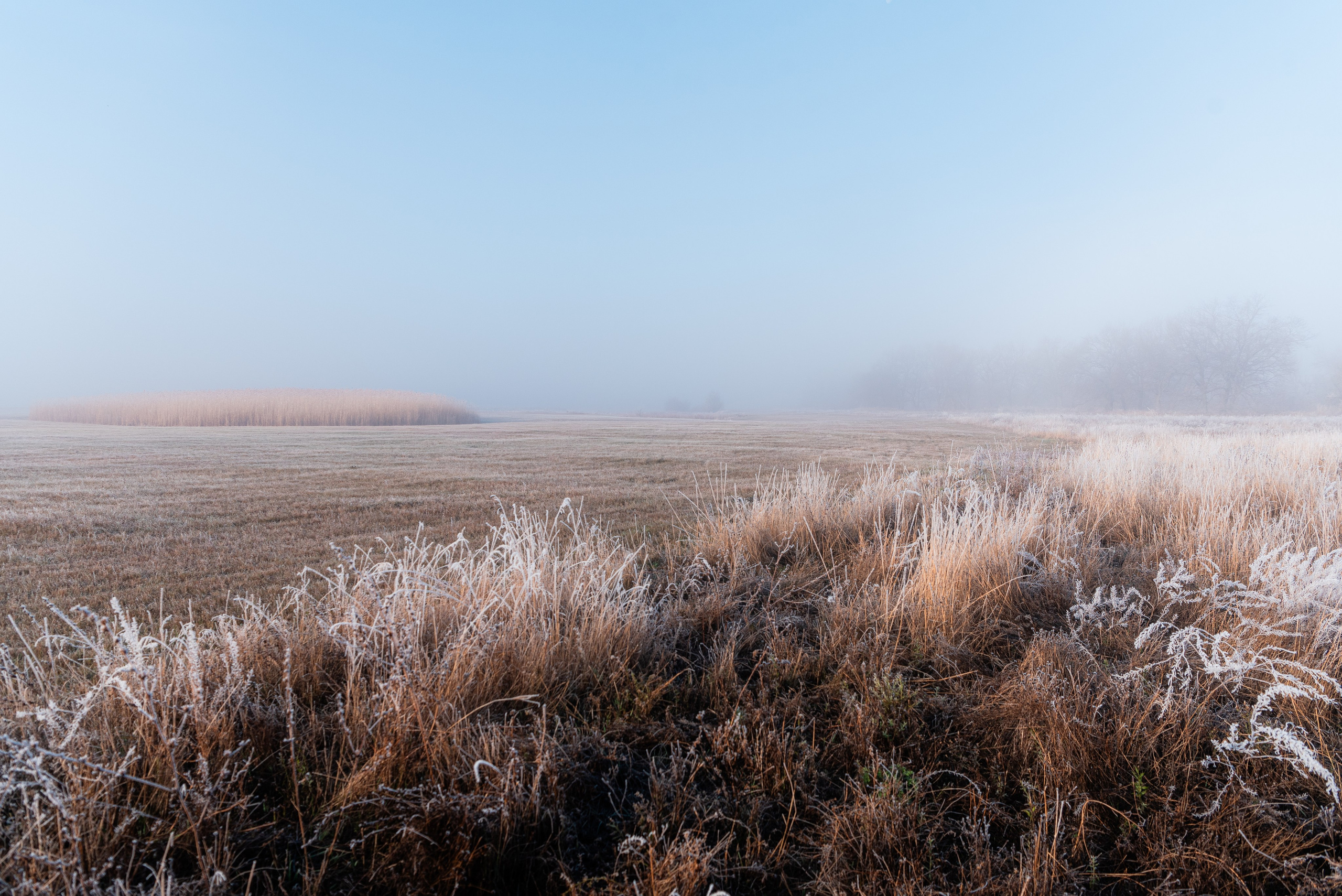 Фотографии утреннего тумана под Волжским. Фотограф в Волгограде и Волжском Александр Горбань