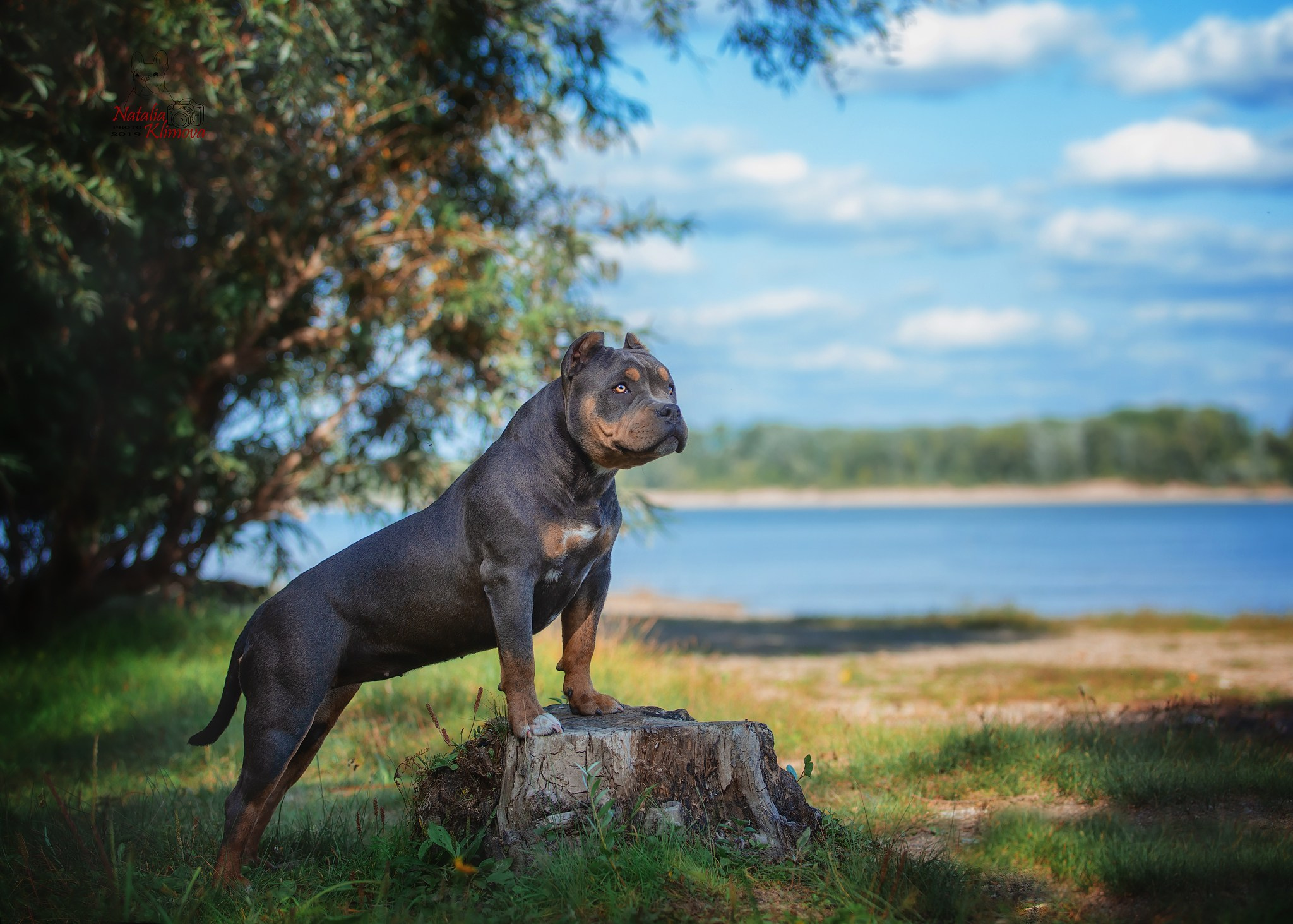 Разные породы