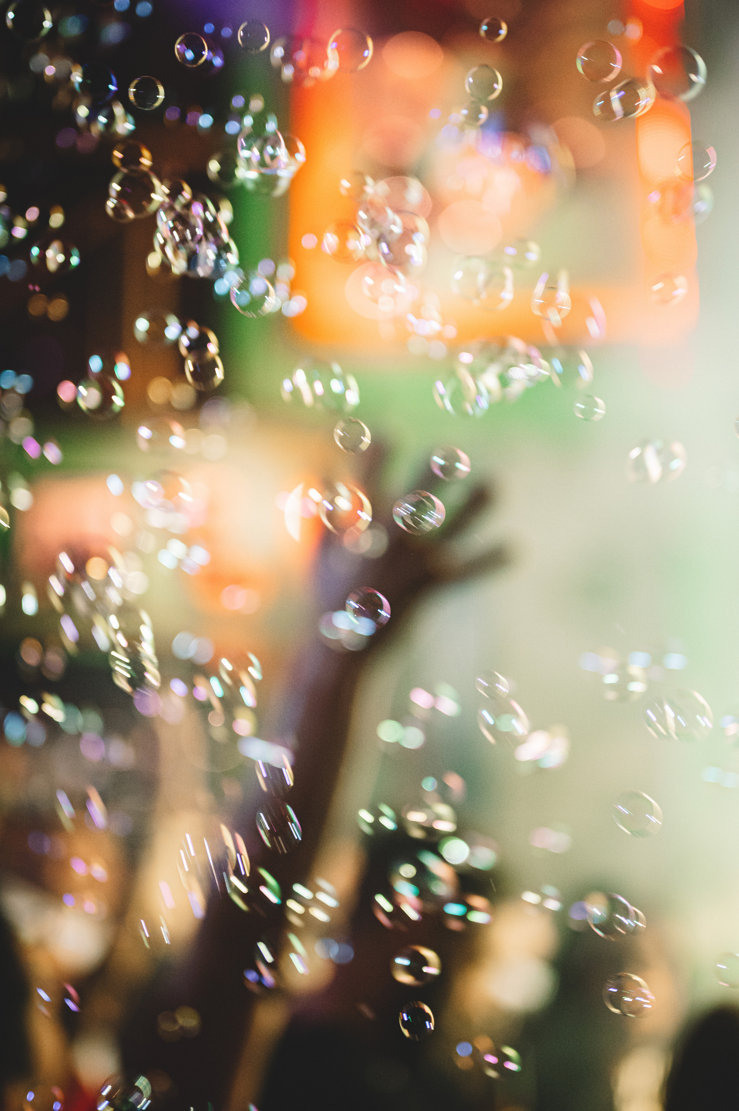 Питоны3000. Фотограф Анна Темнова. Пенза