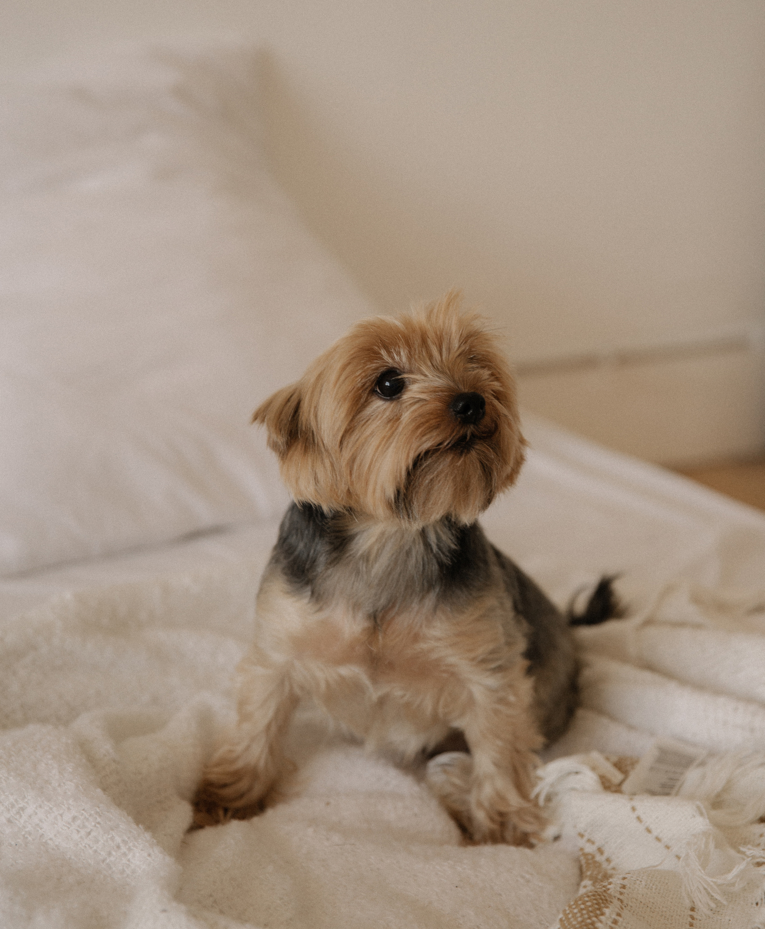 Беременность для Ани и Миши. Фотограф в Краснодаре и Краснодарском крае