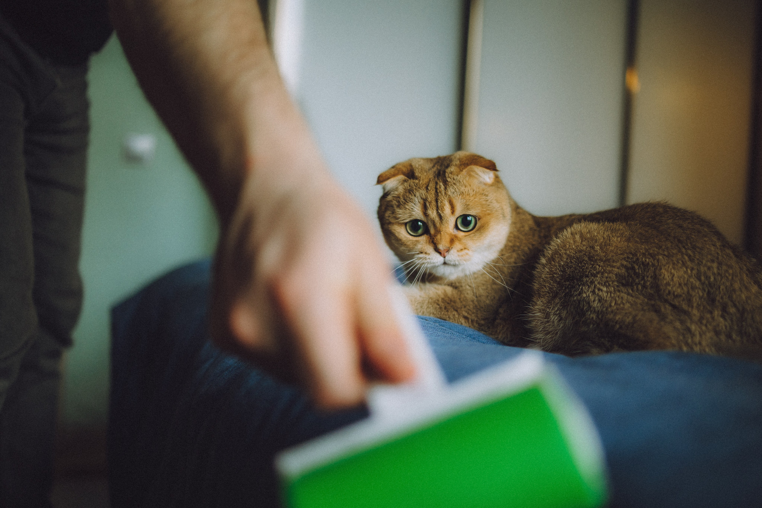 Генри и его семья