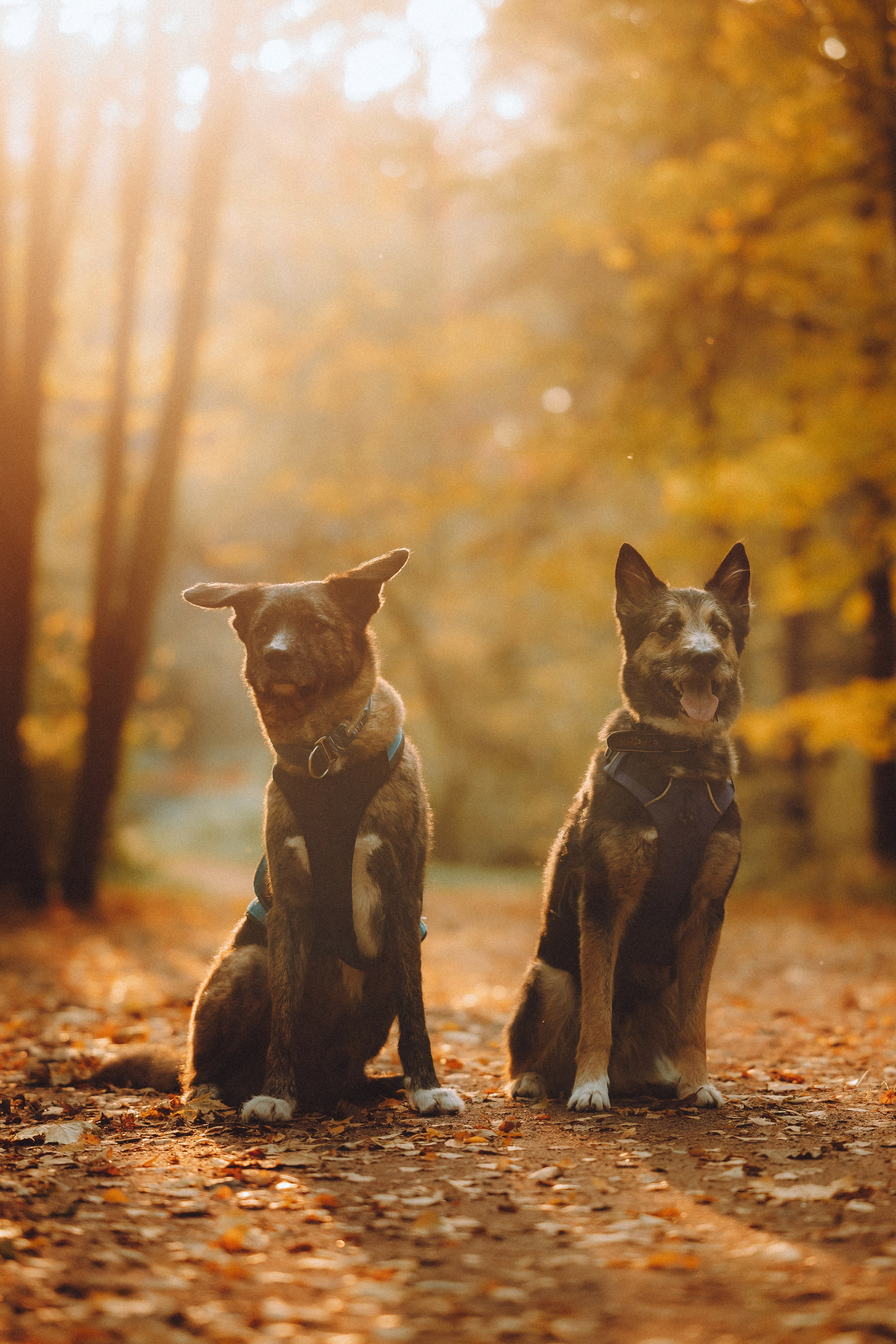 Рик, Джек и их семья