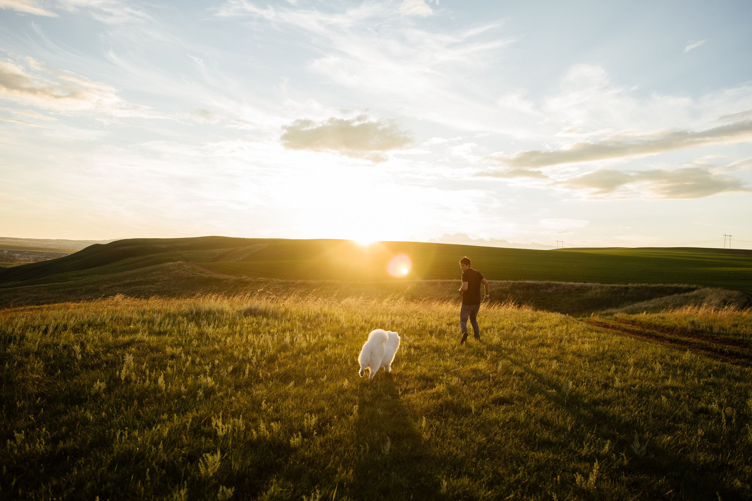 Пушистое облачко. Свадебный и семейный фотограф в Красноярске Сиско Ксения