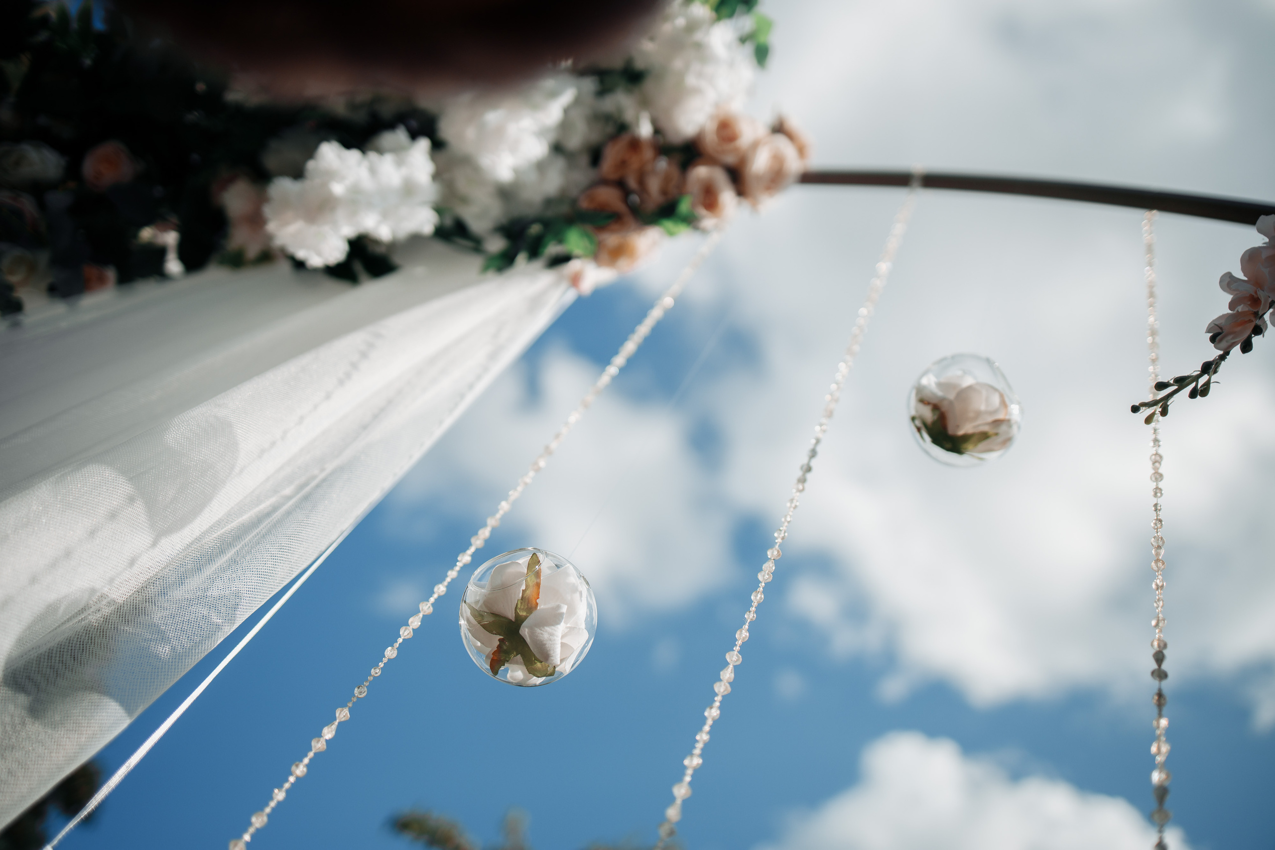 Свадебная прогулка в Высоком Смоленск. Фотограф Денис Вашкевич. Свадебный фотограф Вашкевич Денис