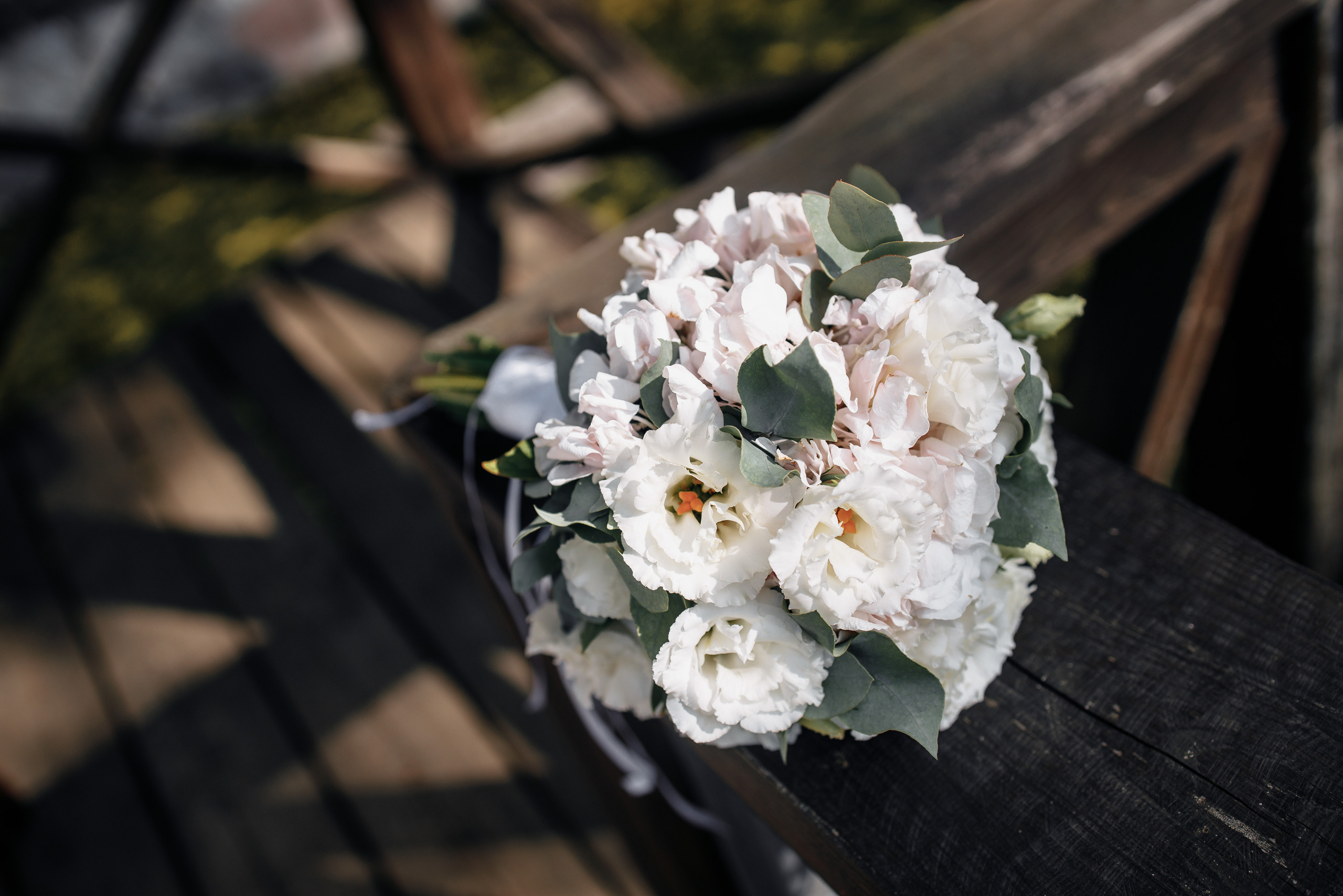 Свадебная прогулка в Высоком Смоленск. Фотограф Денис Вашкевич. Свадебный фотограф Вашкевич Денис