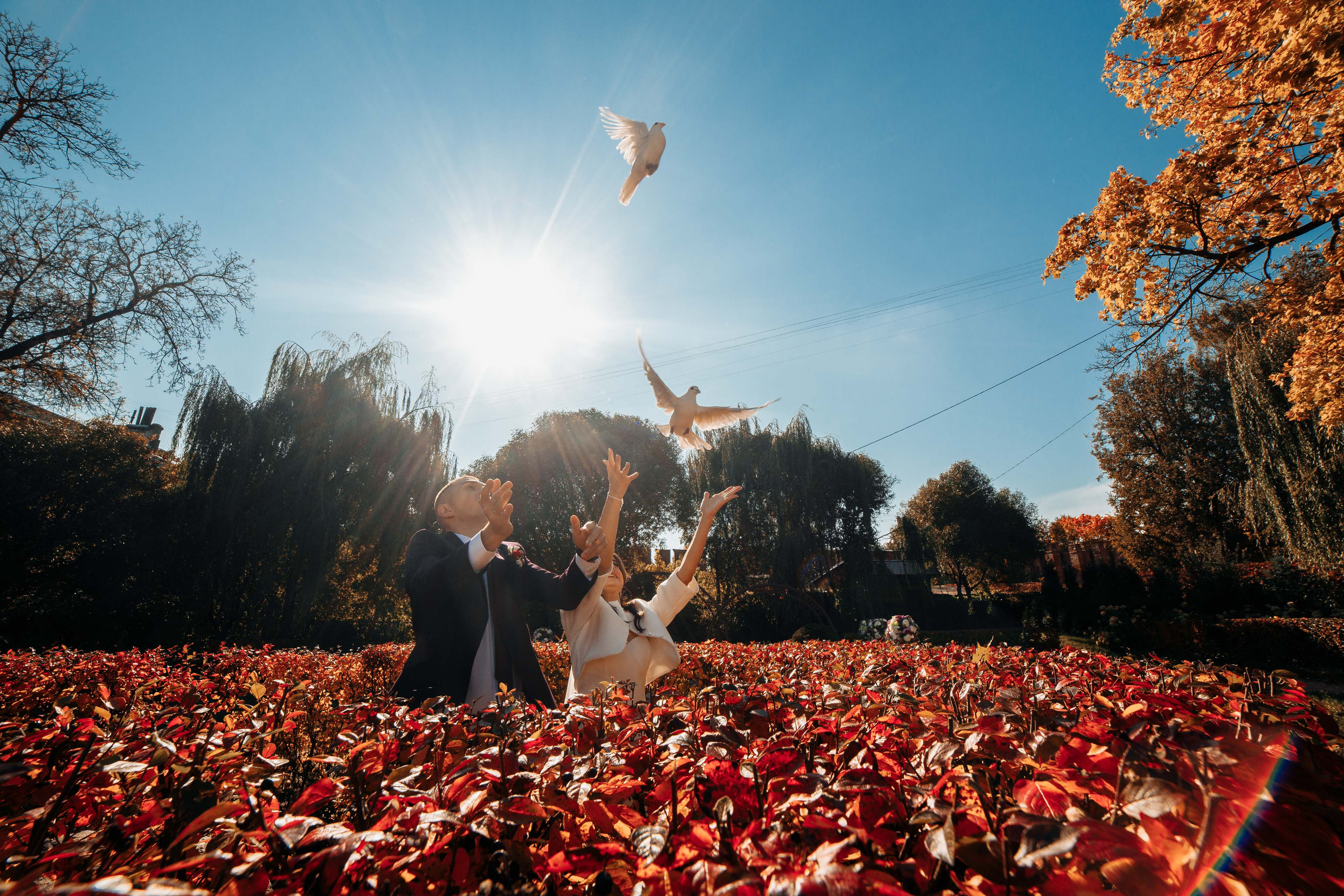 Свадебная прогулка. Свадебный фотограф Вашкевич Денис