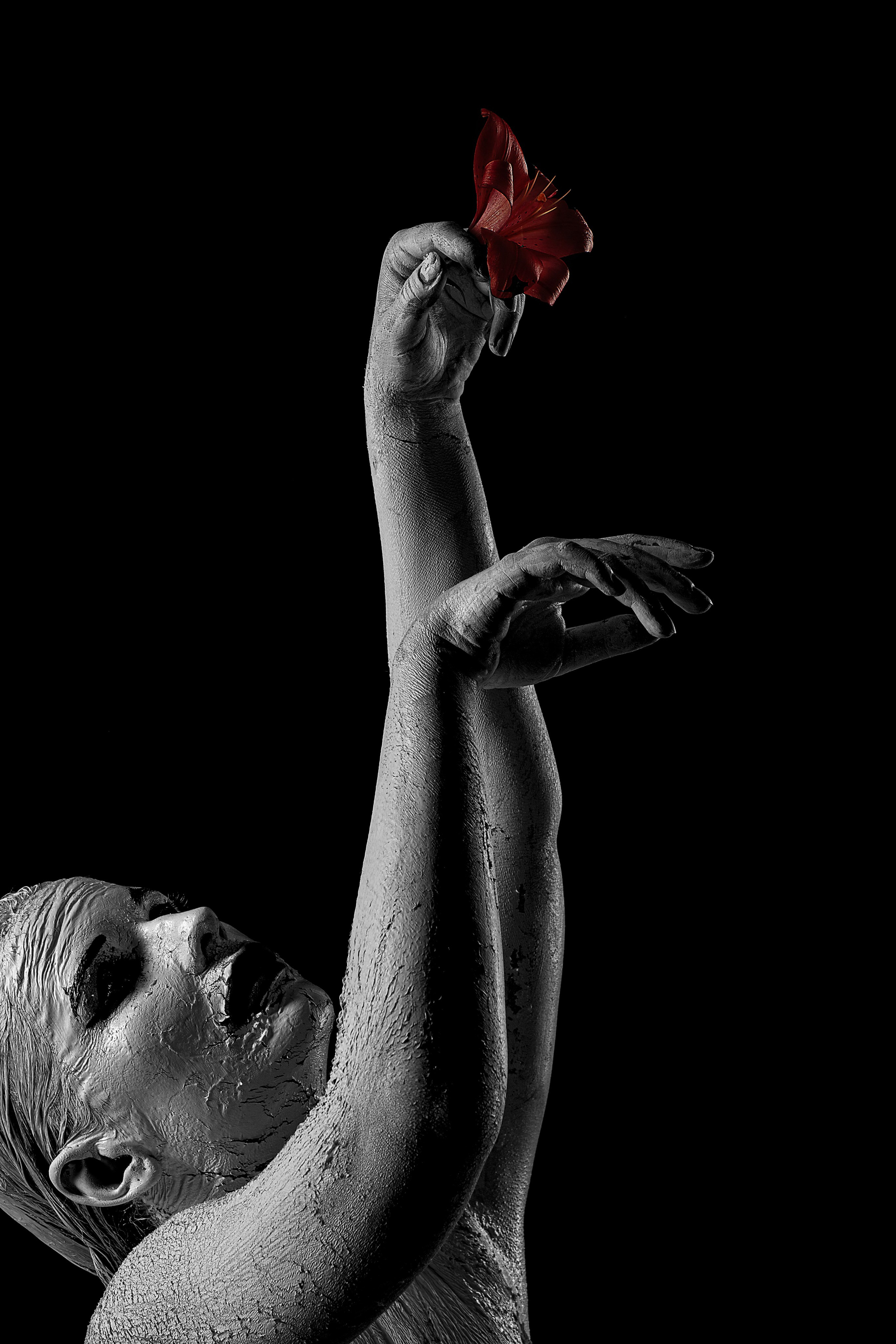 Кровавая лилия. Художественный Фотограф Тольятти