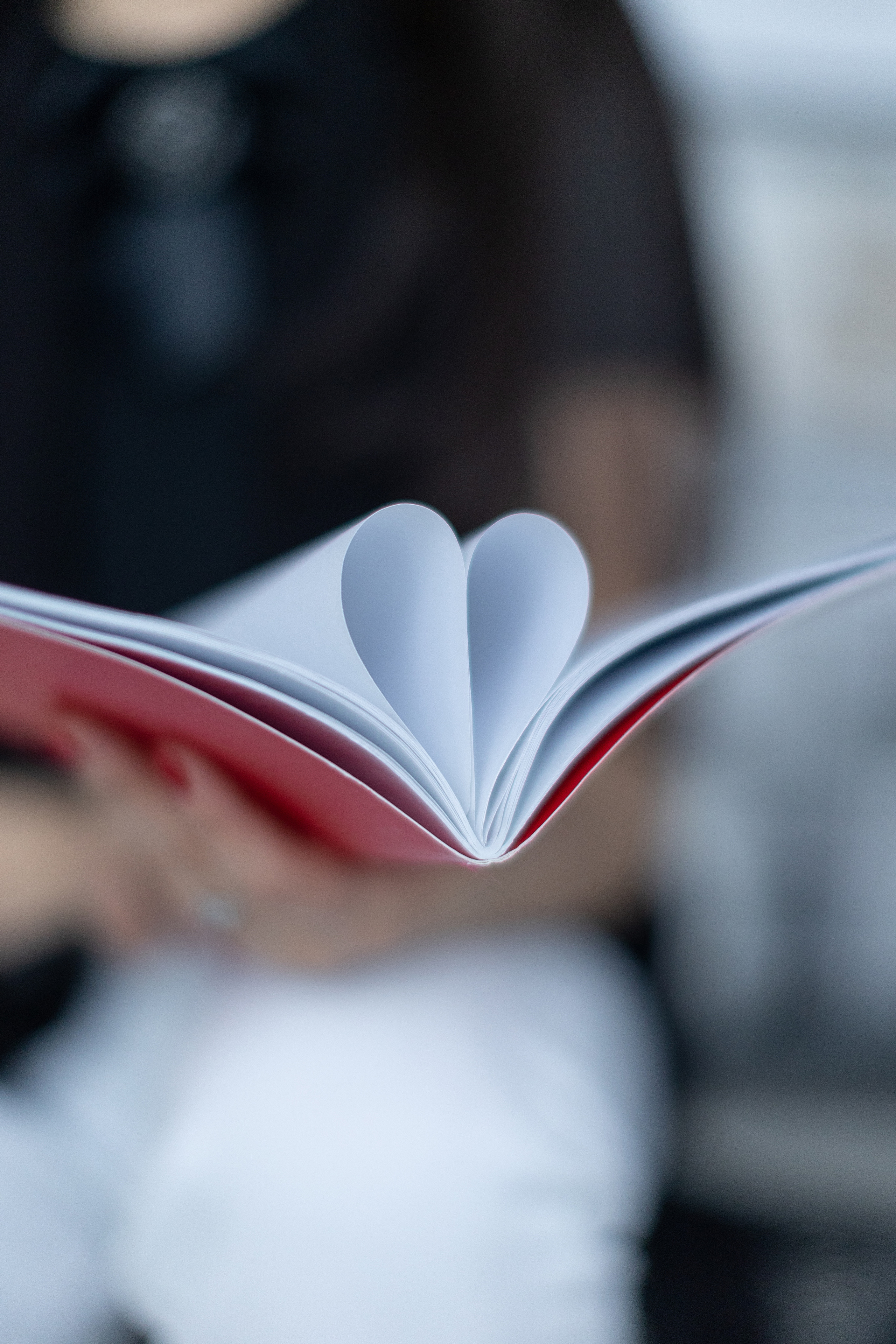 Веб-дизайнер. Свадебный и семейный фотограф