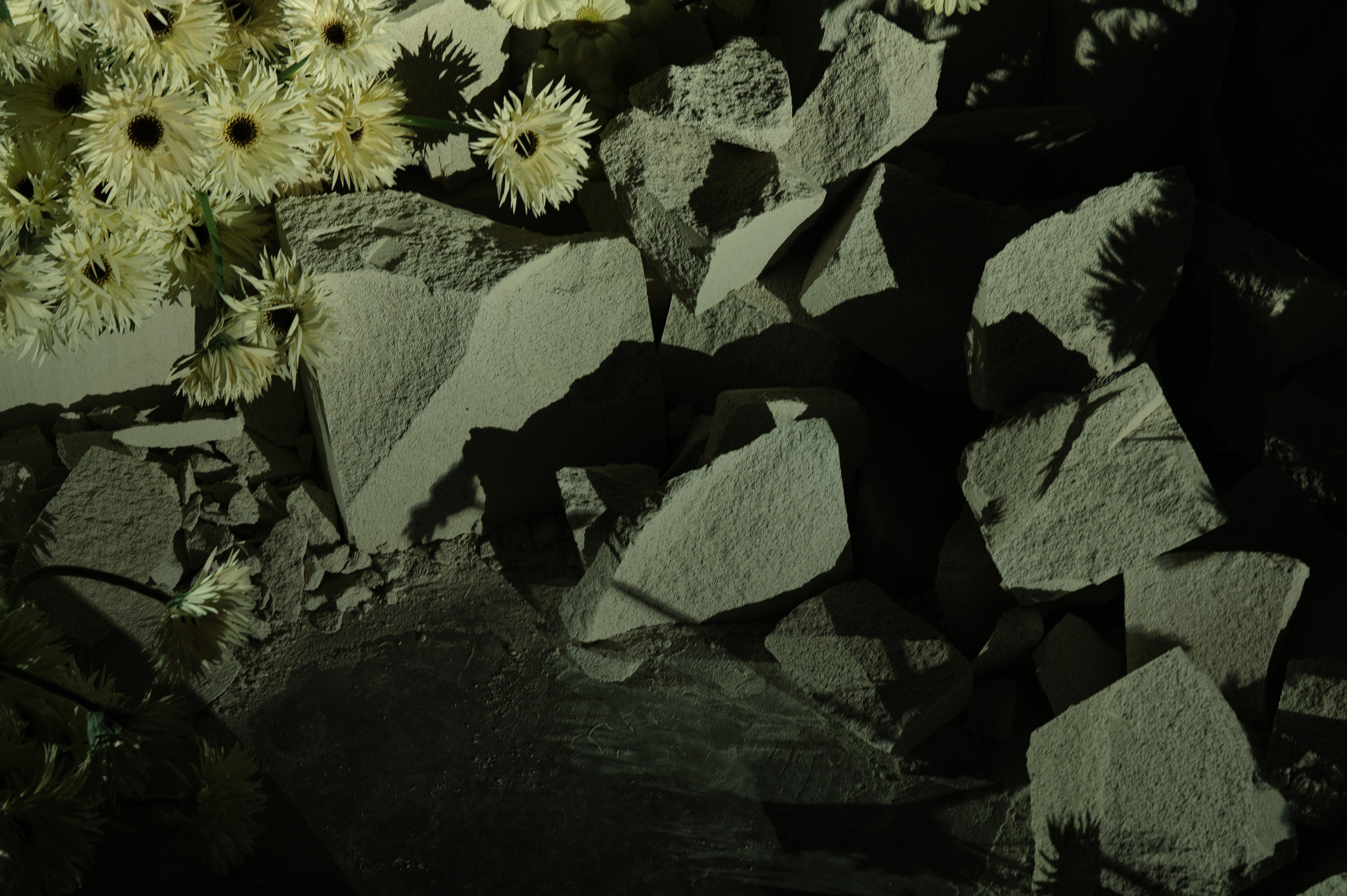 K A R U S E L. Свадебный и репортажный фотограф Сергей Чесноков