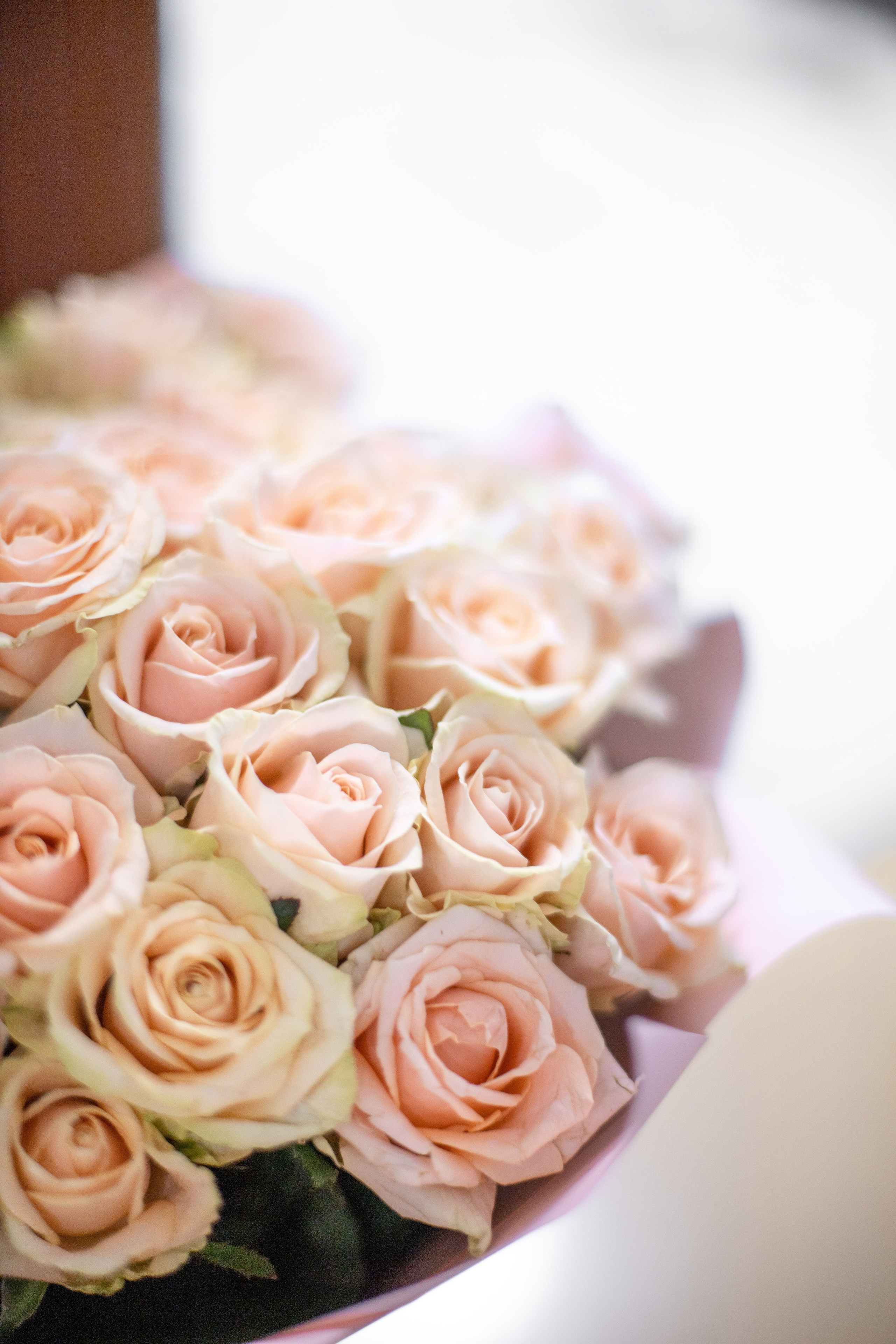 Утро невесты. SaGaFOTO.ru