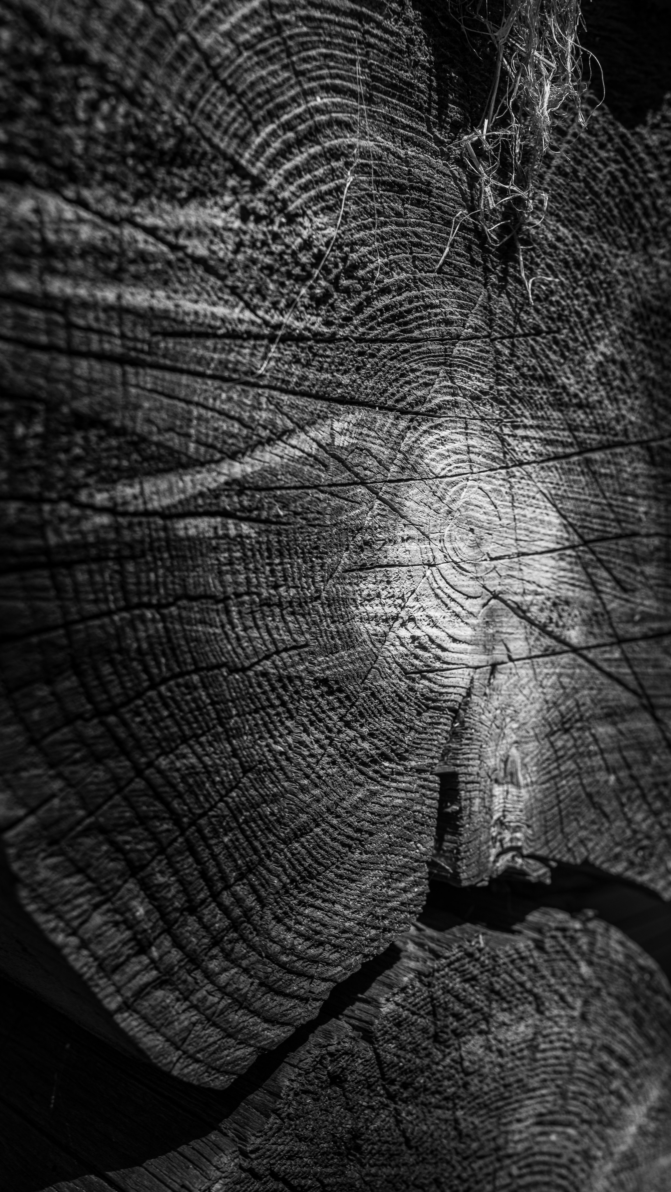 Полянка. Анастасия Паршукова — фотограф Шерегеш Новосибирск