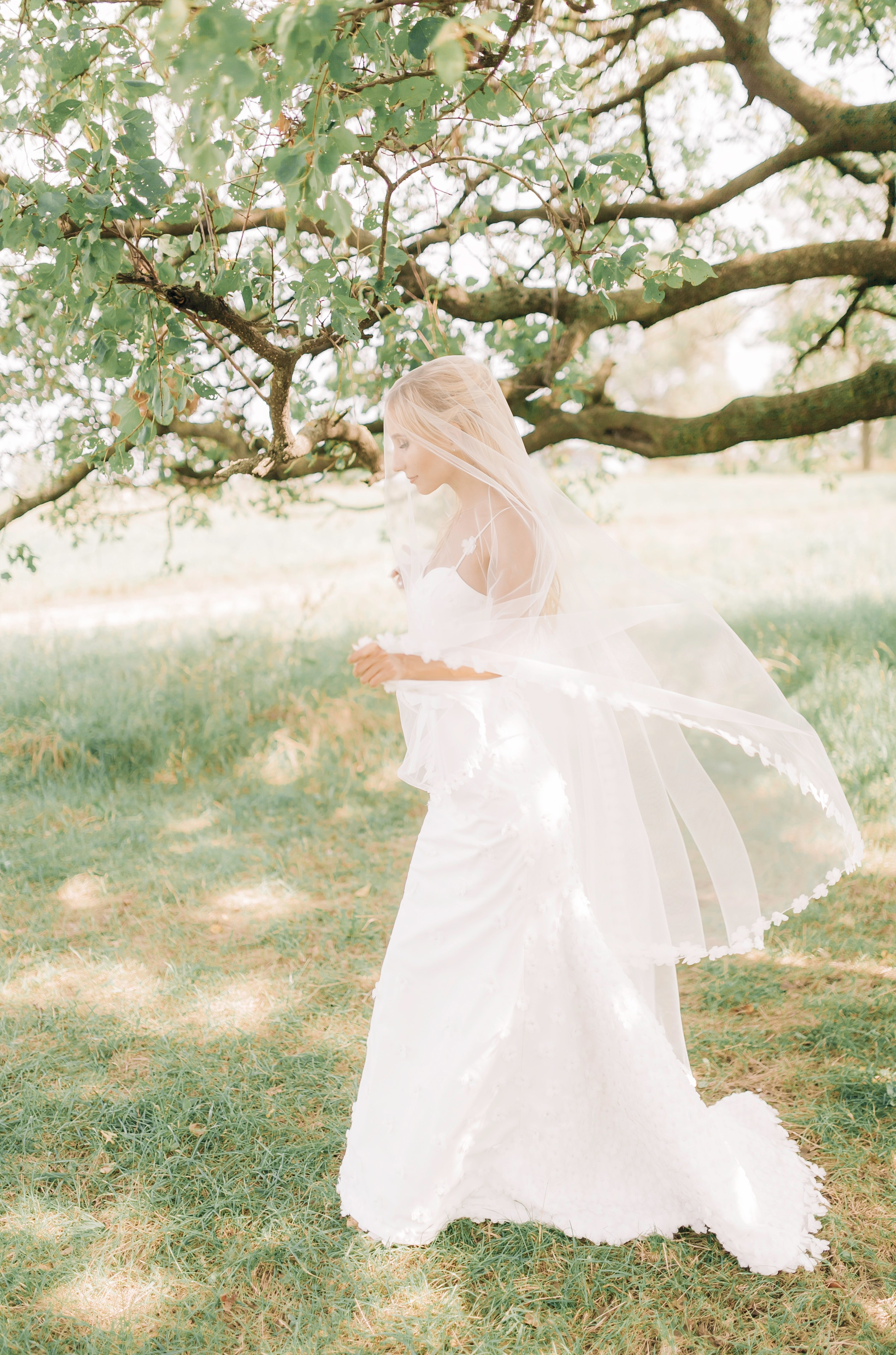 Цены на свадебную съемку в Краснодаре от Марии Оводовой