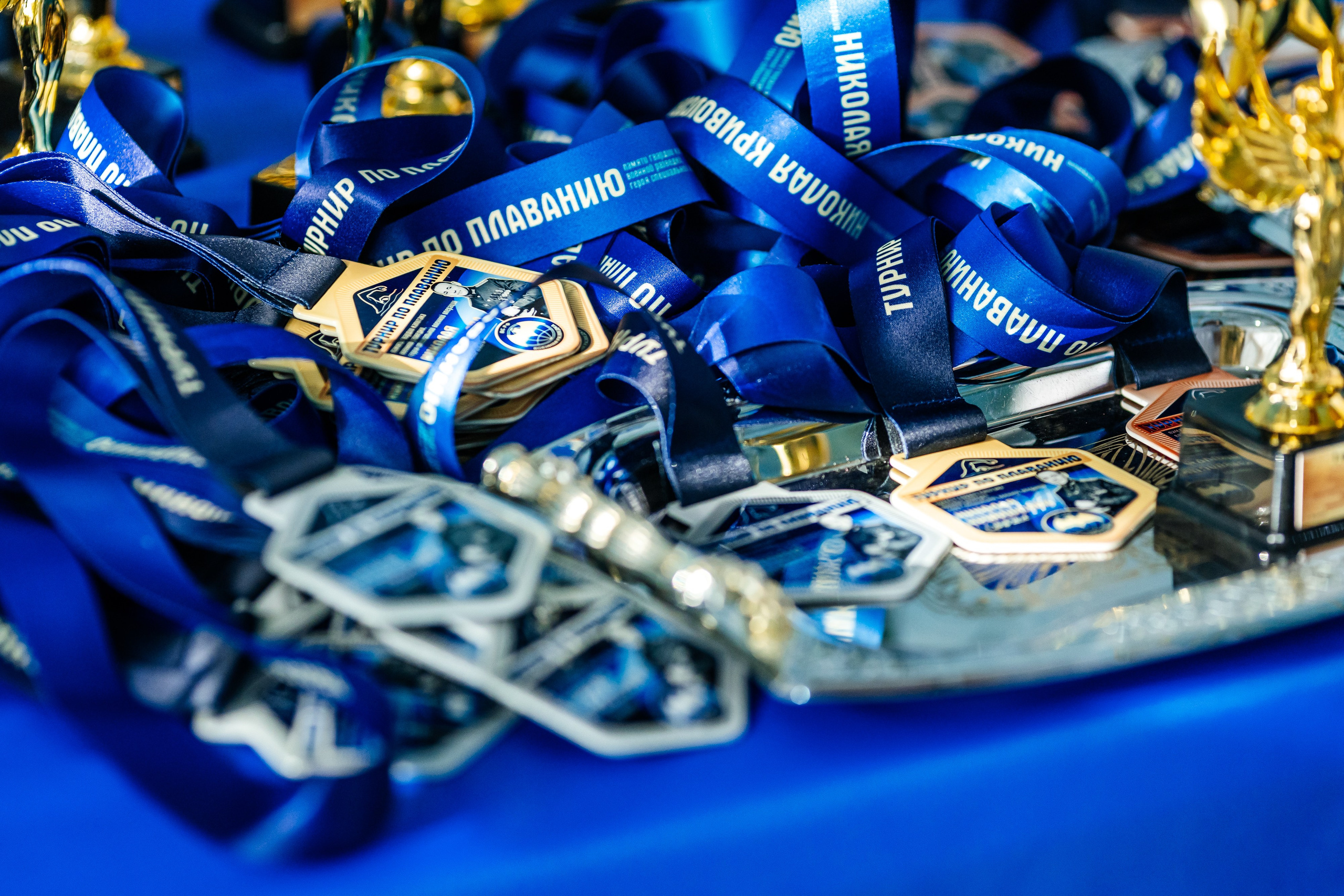 Школа плавания «Виктория». Свадебный фотограф в Краснодаре Николай Крауз