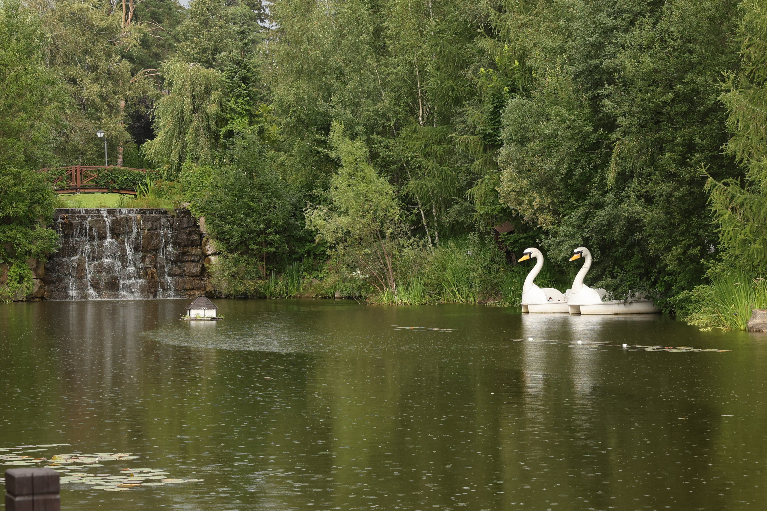 Иван и Настя. Свадебный, репортажный, фотограф