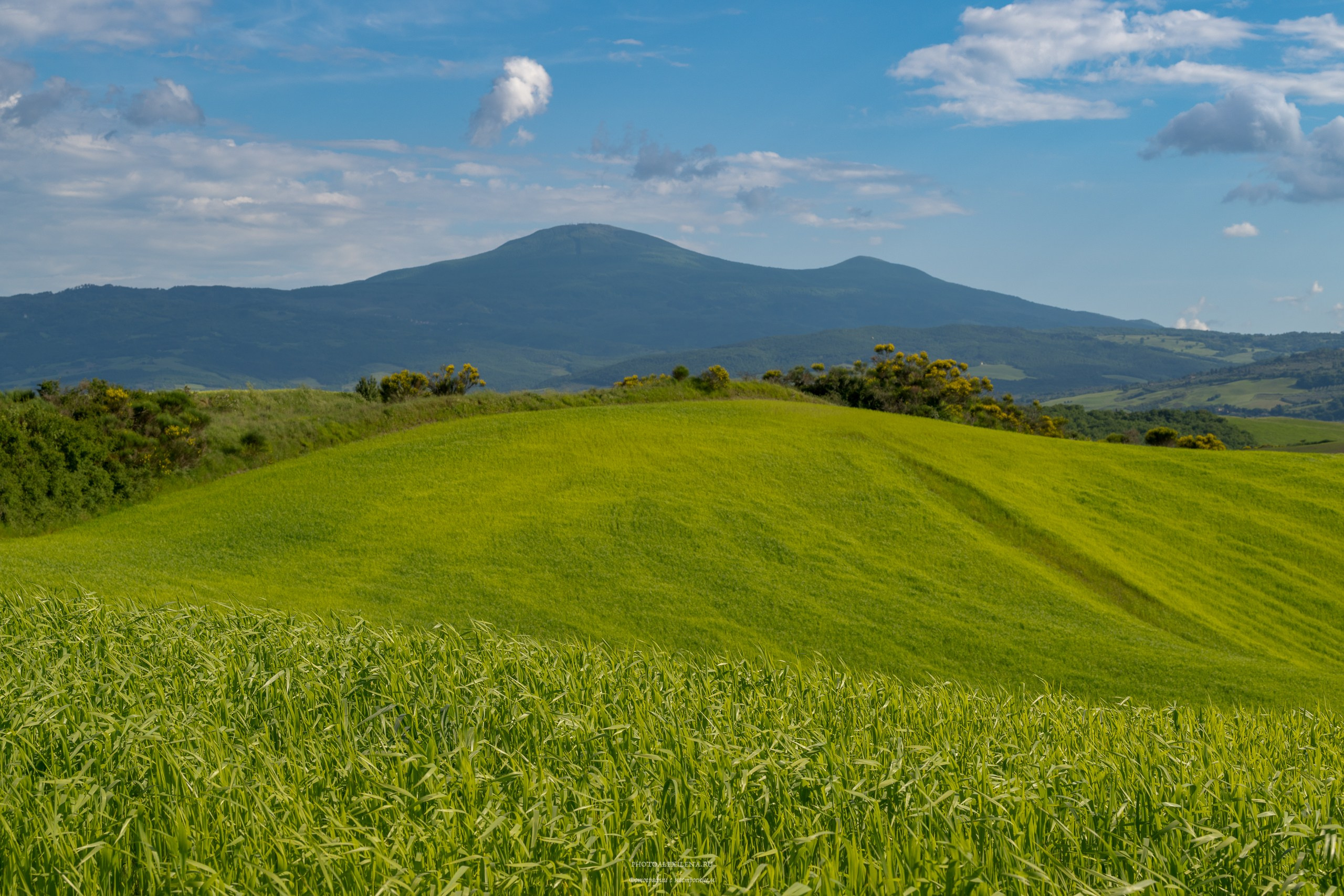 Долина Валь д’Орча-сердце Тосканы. Авторские стильные фотокартины