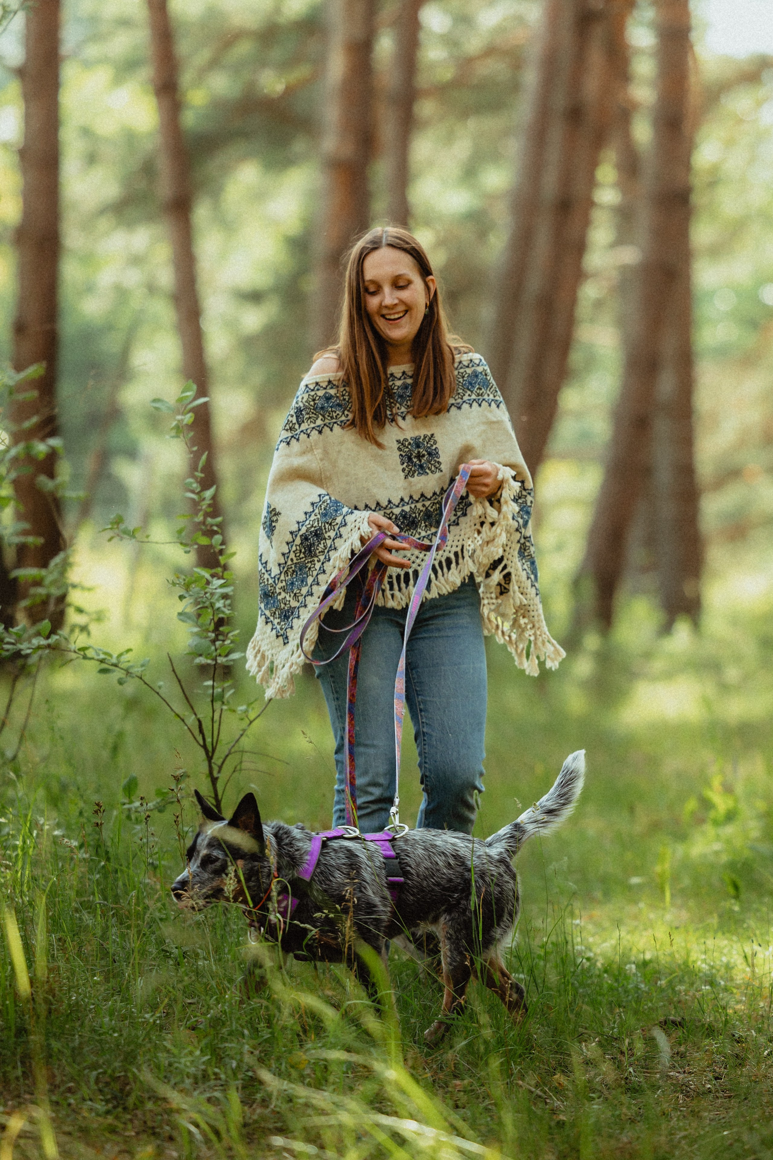 Выездной дог-тренинг от школы «Шерсть имею»