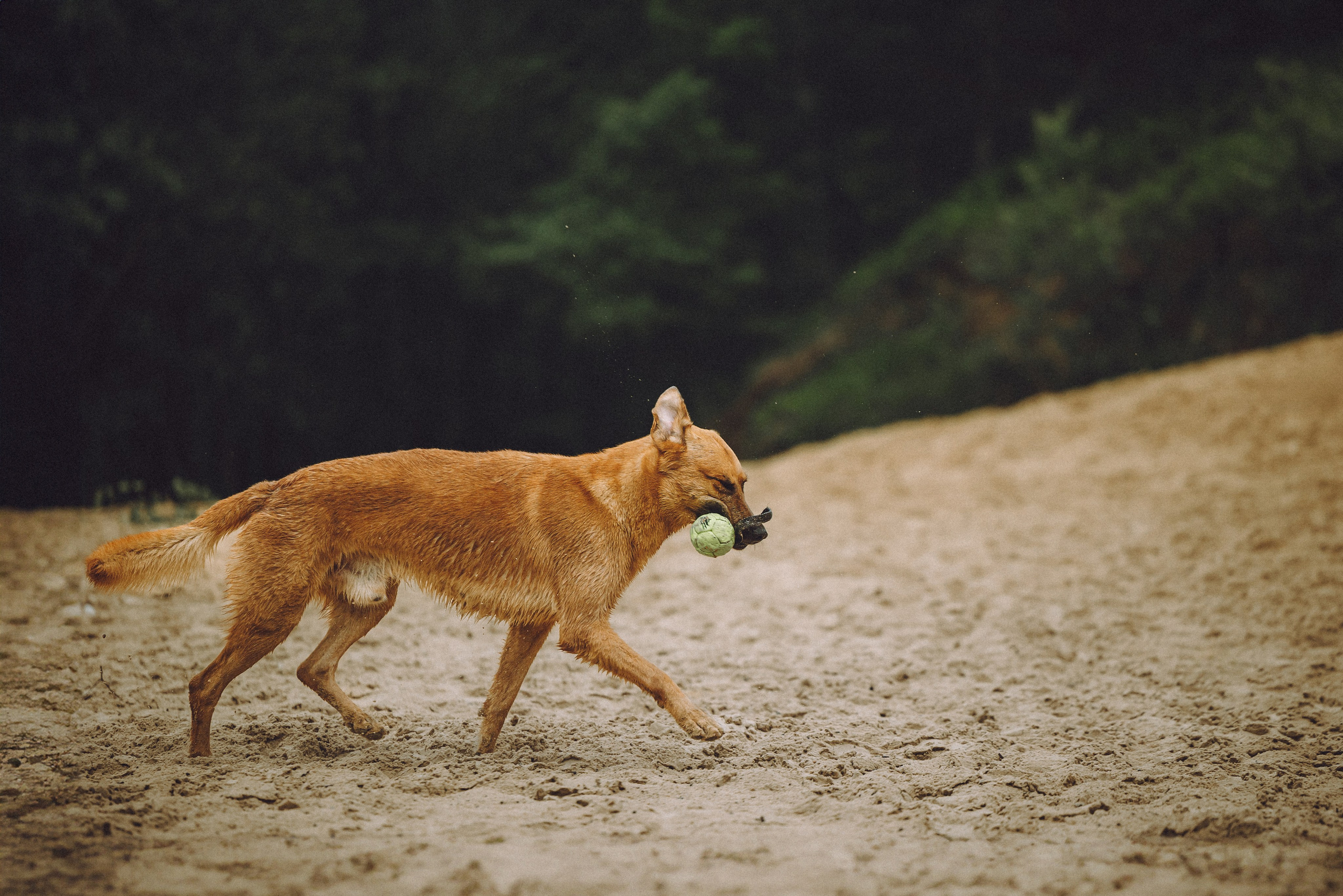 Роби, Тео и их семья