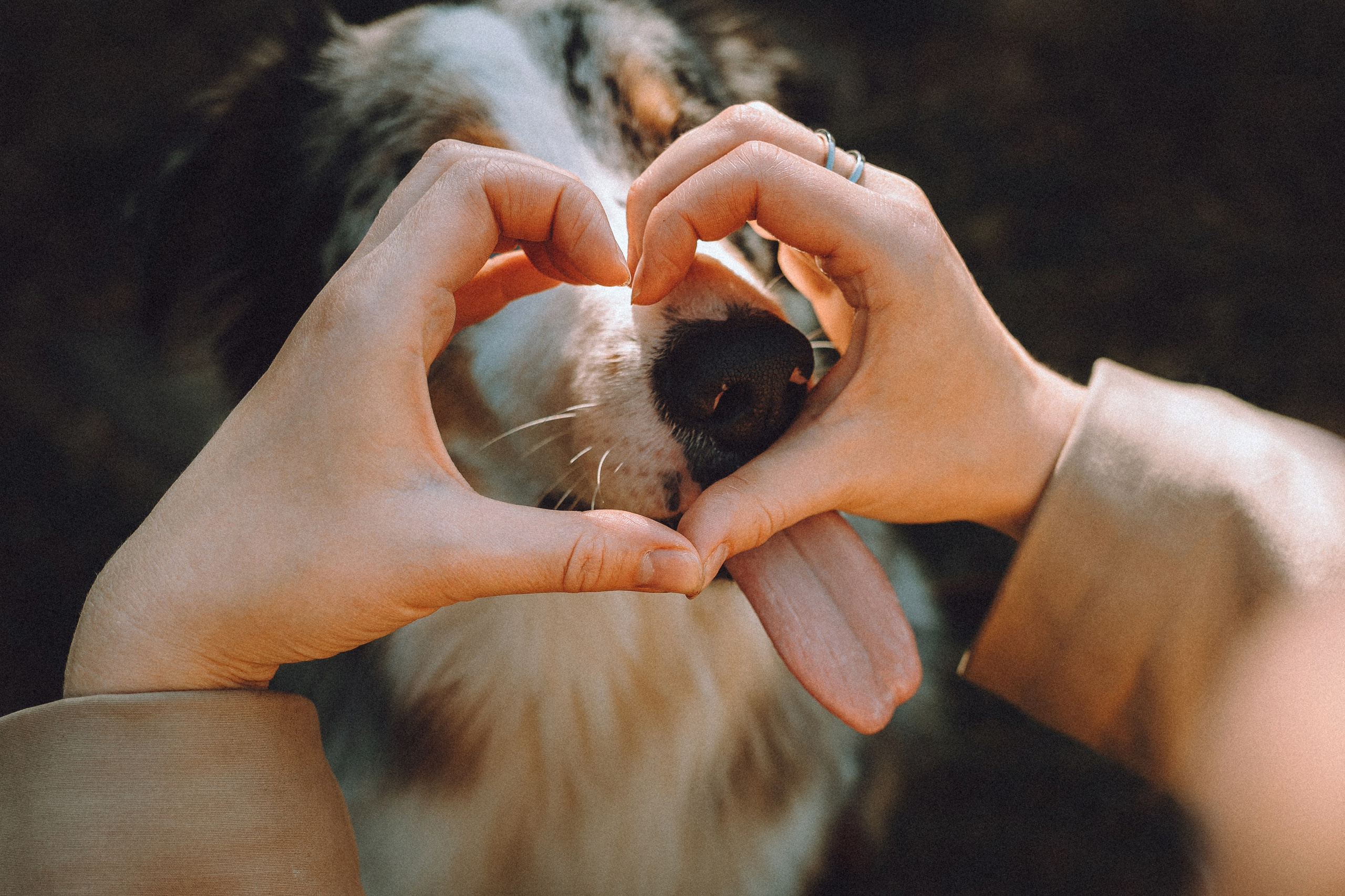Саша, Рома и Один
