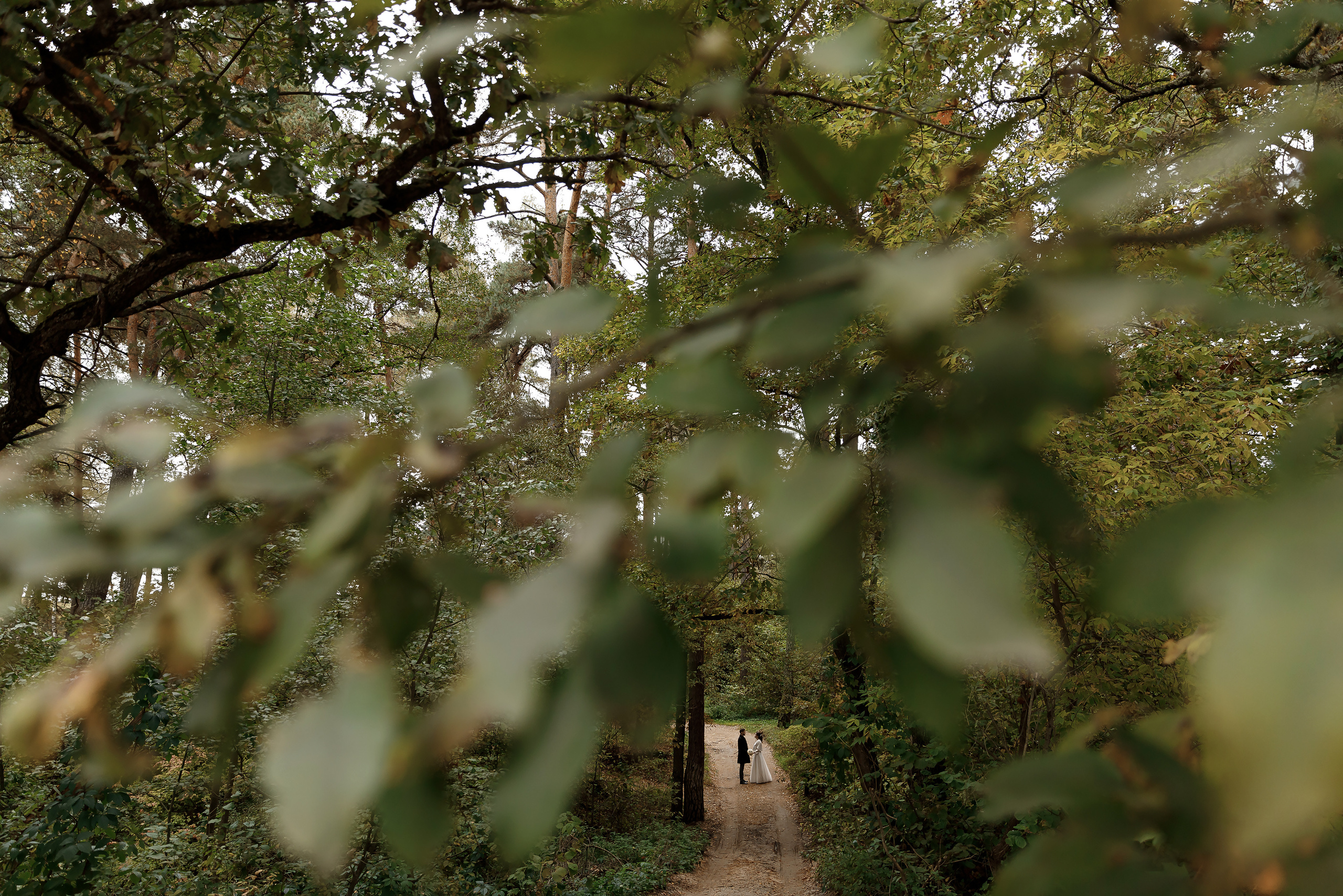 Wedding day Евгений и Екатерина. Свадебный фотограф Колесников Антон