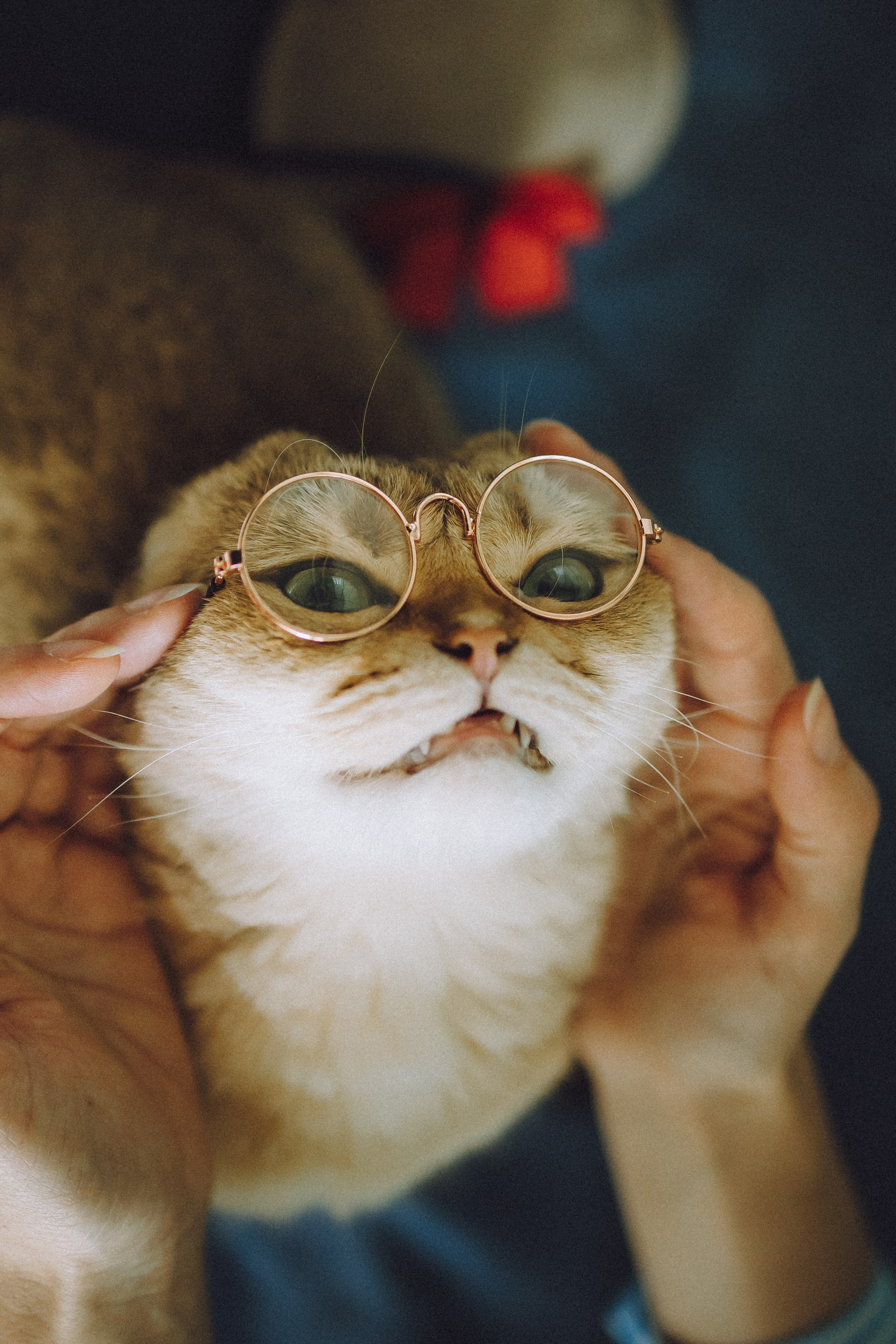 Генри и его семья