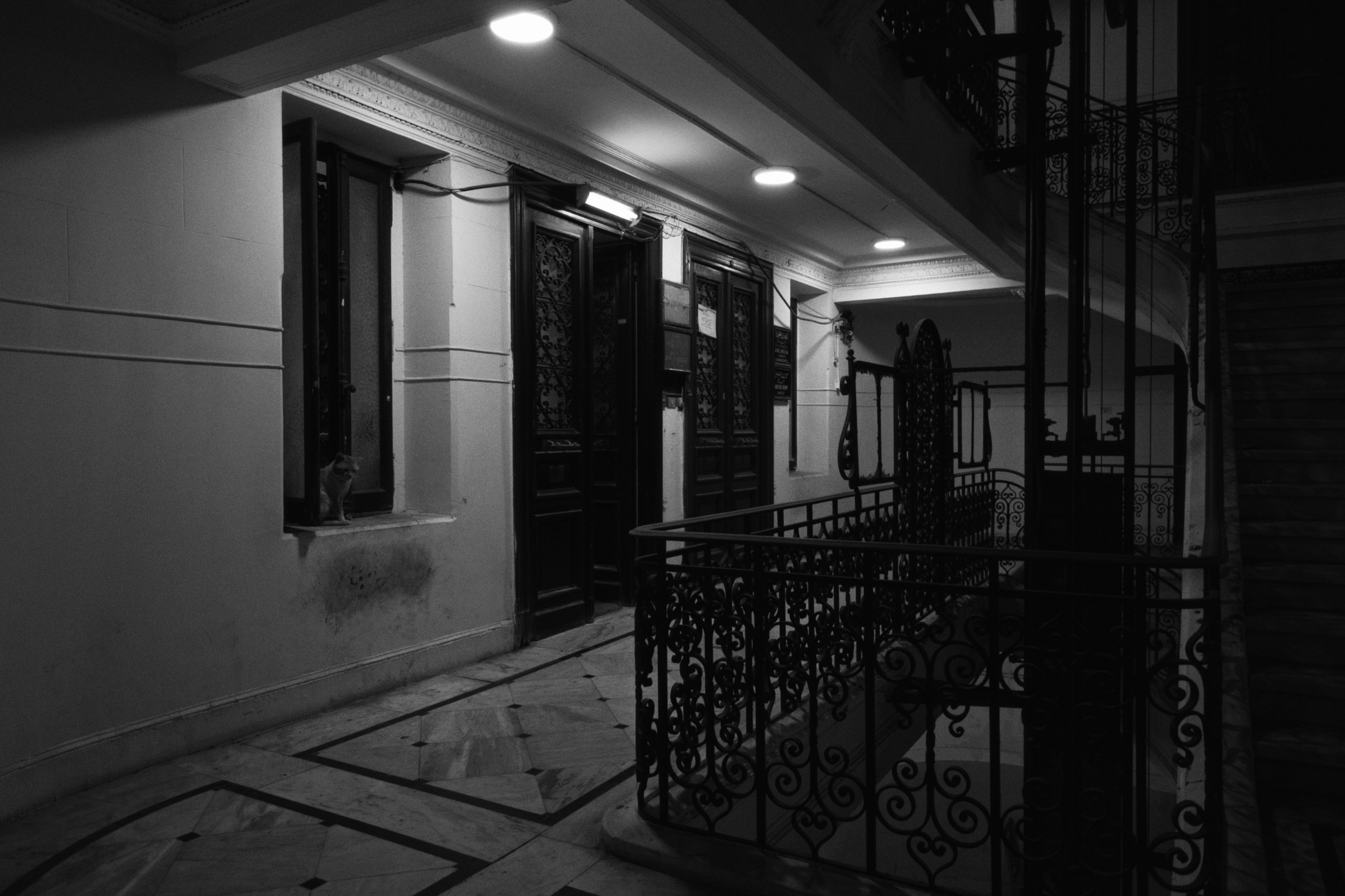 Alexandria / Egypt AW25. Фотограф Юрин Евгений