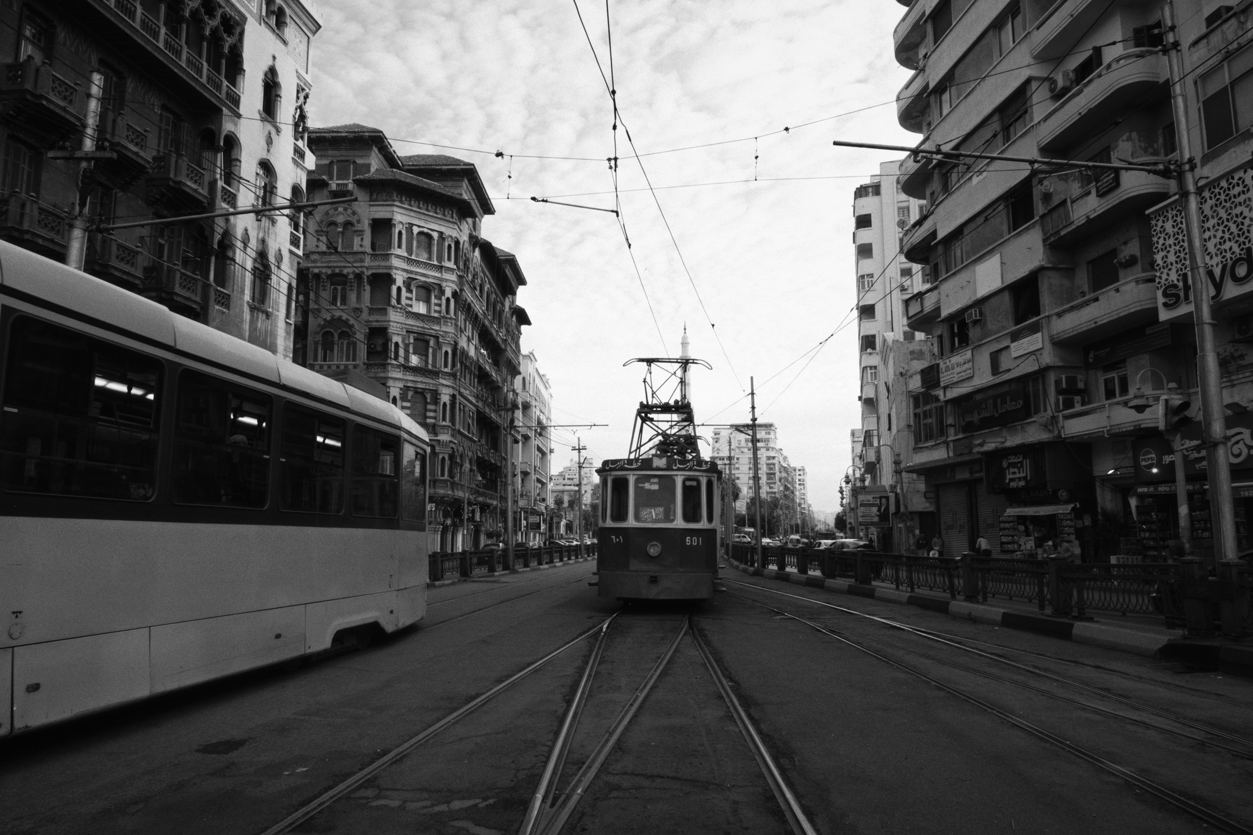 Alexandria / Egypt AW25. Фотограф Юрин Евгений