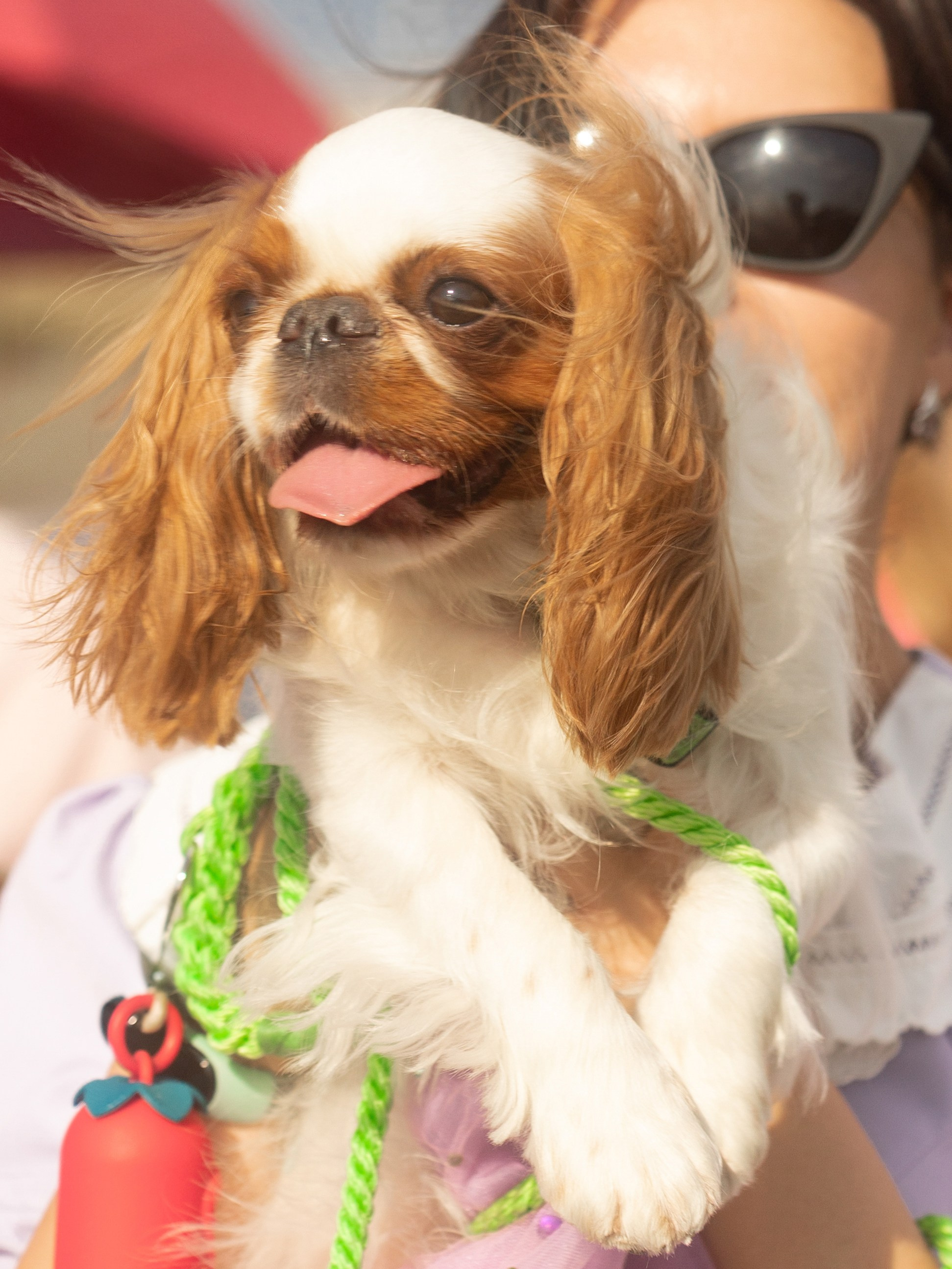 Сережа и Варя. Свадебный фотограф Михаил Мирзоян