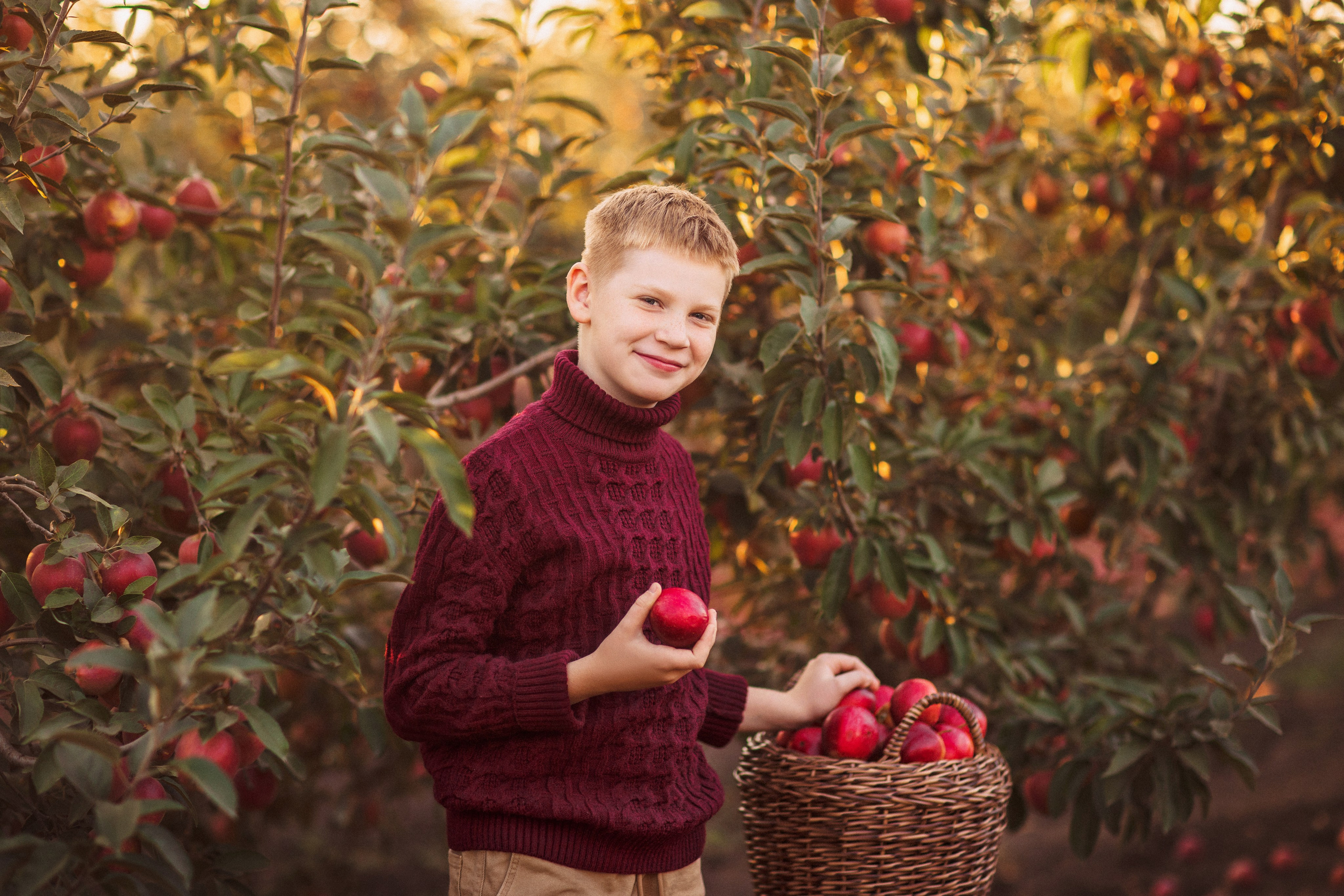 Сбор урожая Яблок. Семейный и детский фотограф в Краснодаре Анна Трашкова