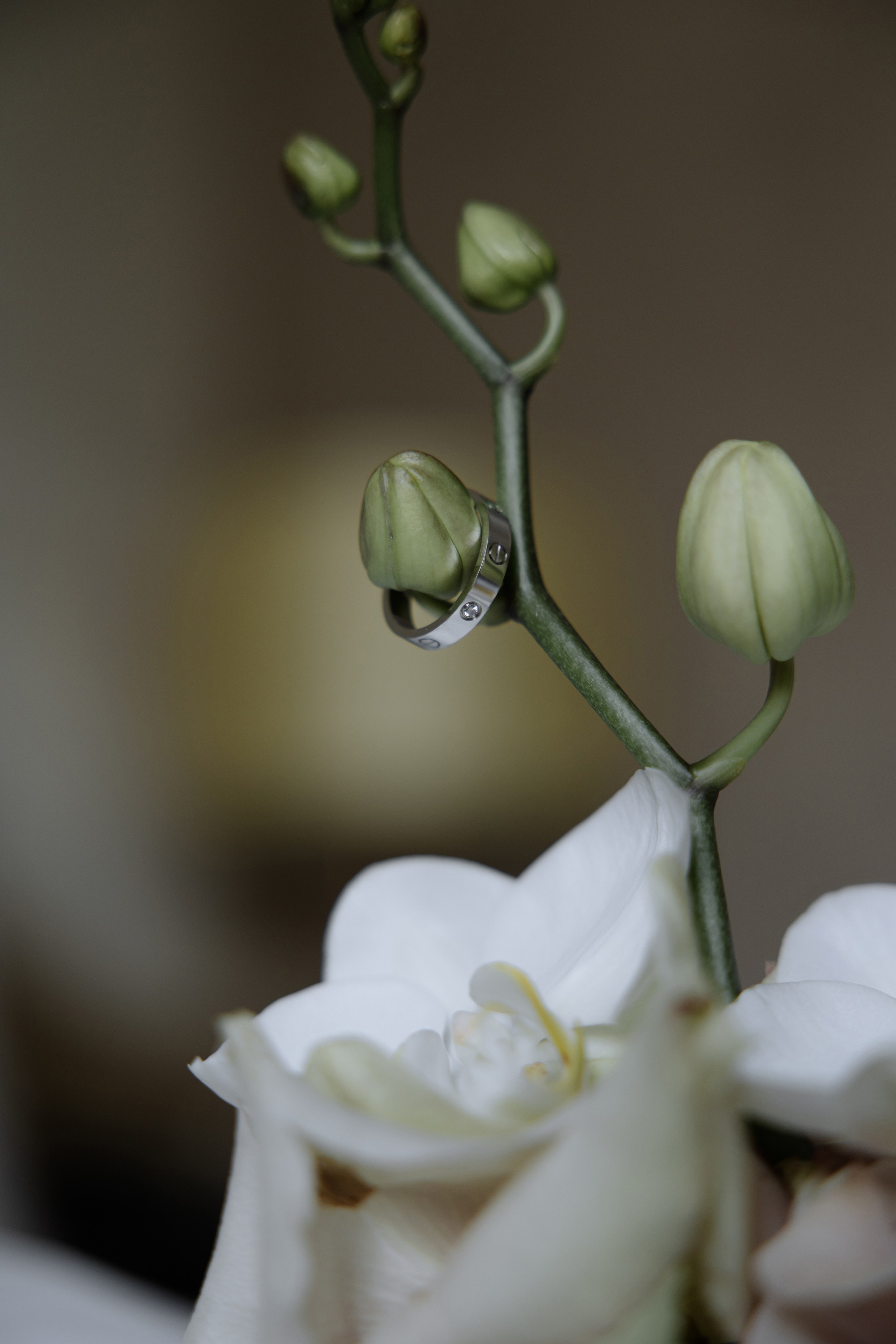 Ваня Точно. Свадебный фотограф в Москве и Балашихе