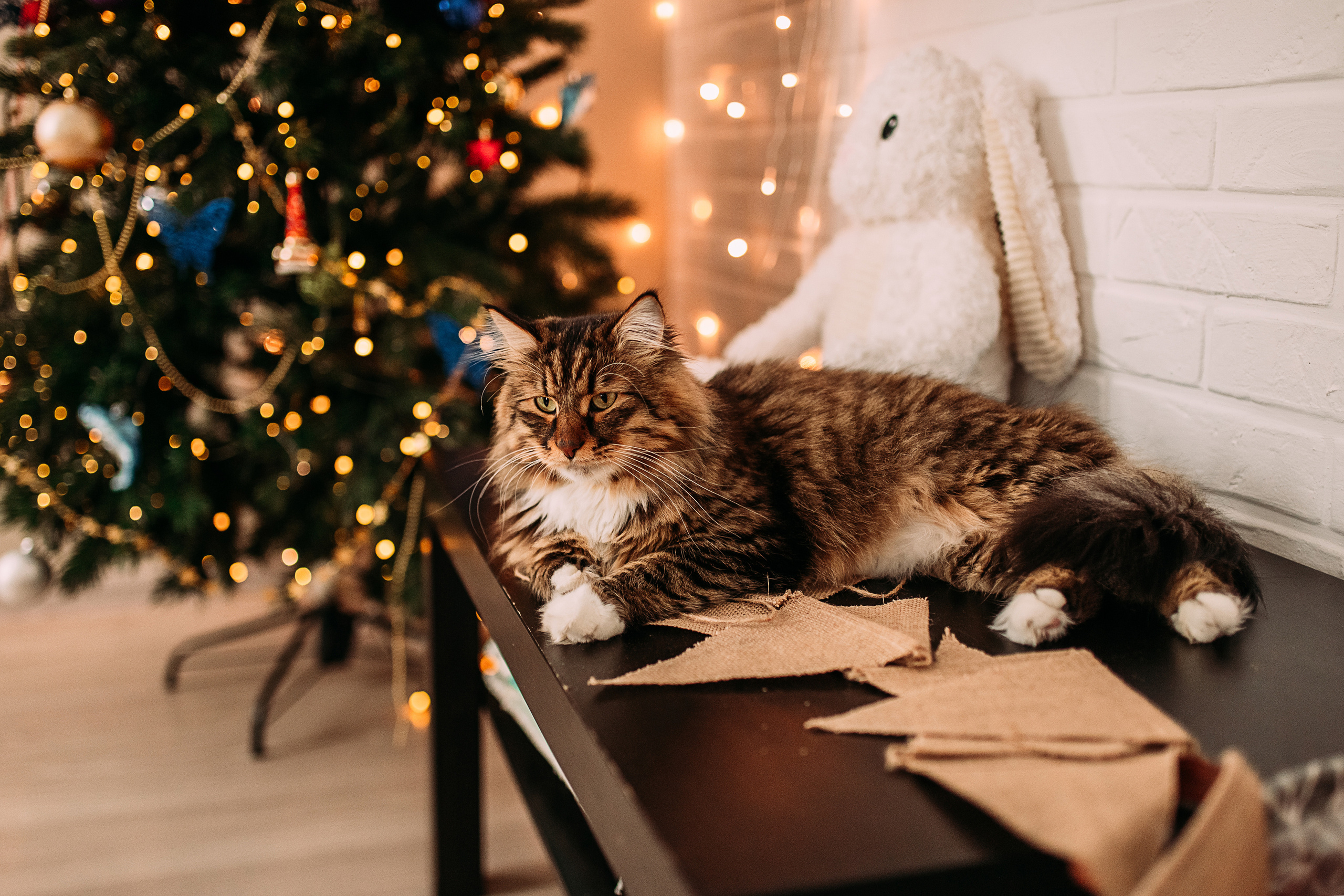 Алена, Саша, Саша и Кокос. Семейный и детский фотограф в Нижнем Новгороде Наумова Лидия
